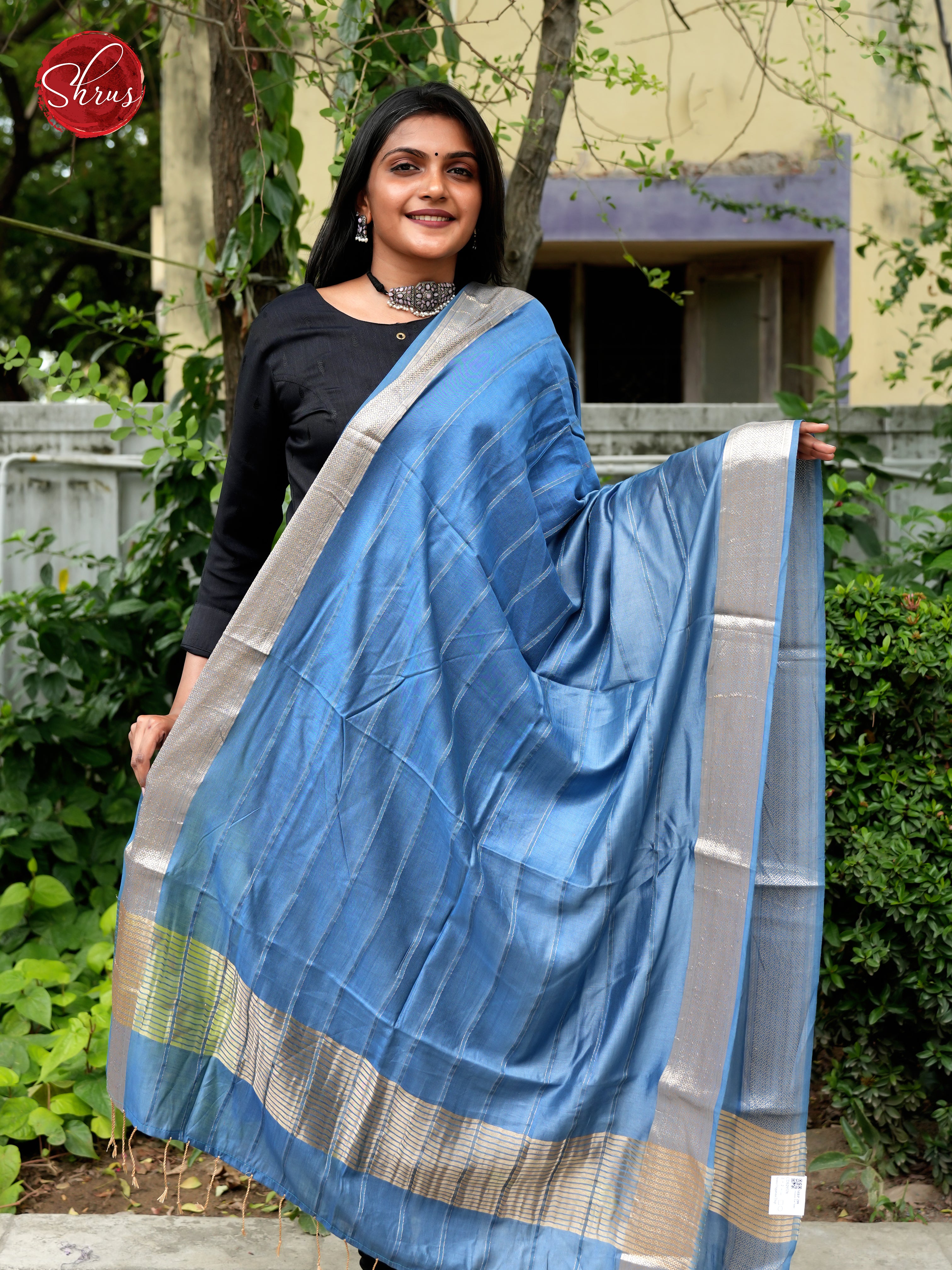 Blue - Semi Organza Dupatta - Shop on ShrusEternity.com