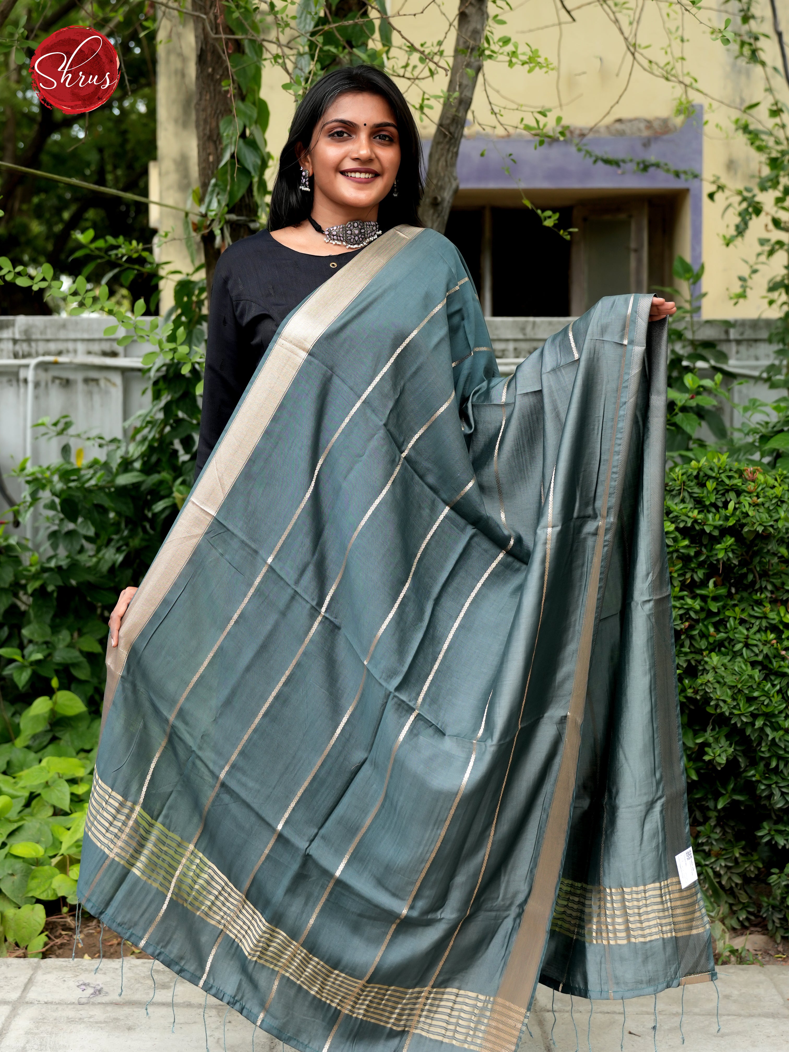 Grey - Semi Organza Dupatta - Shop on ShrusEternity.com