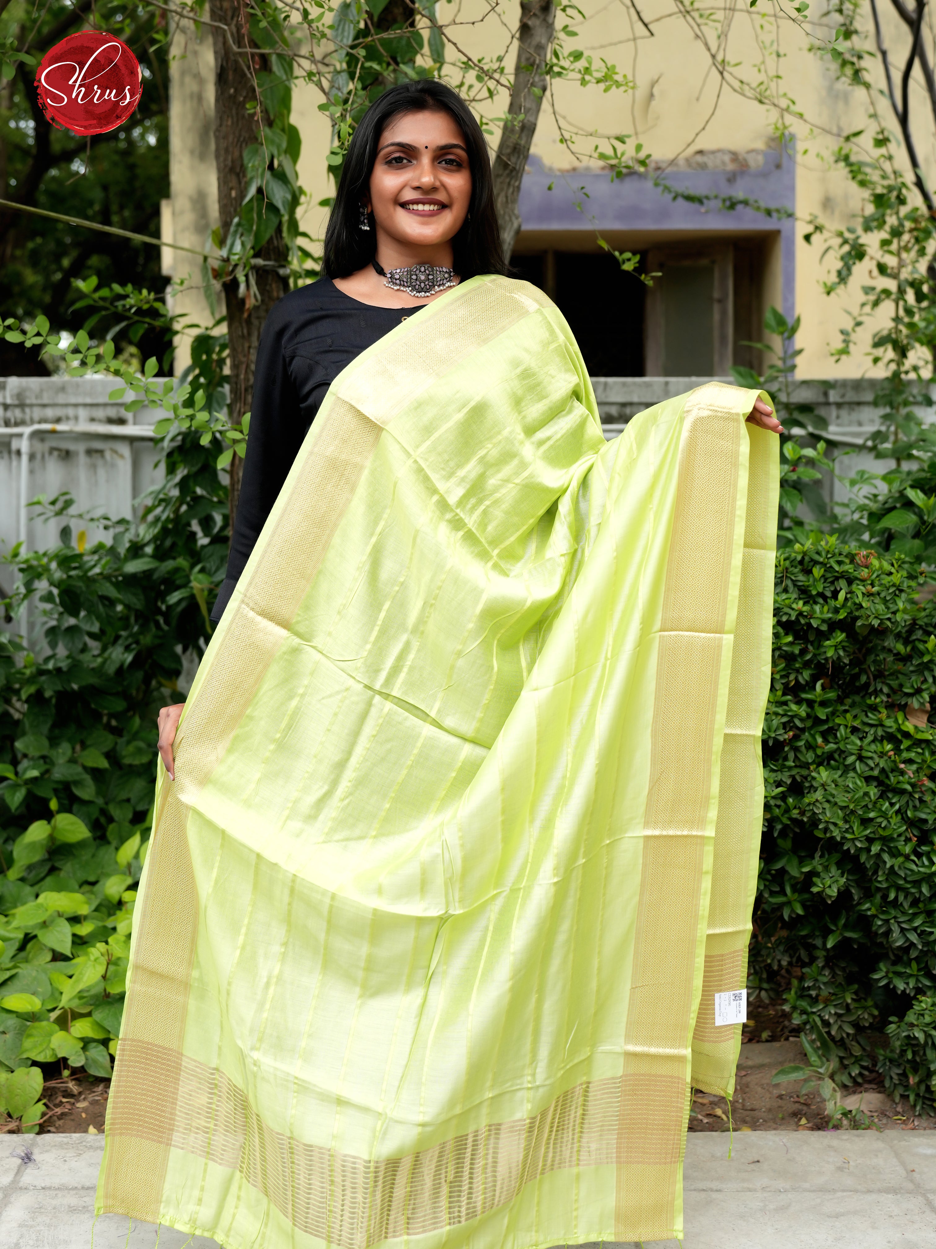 Light Green - Semi Organza Dupatta - Shop on ShrusEternity.com