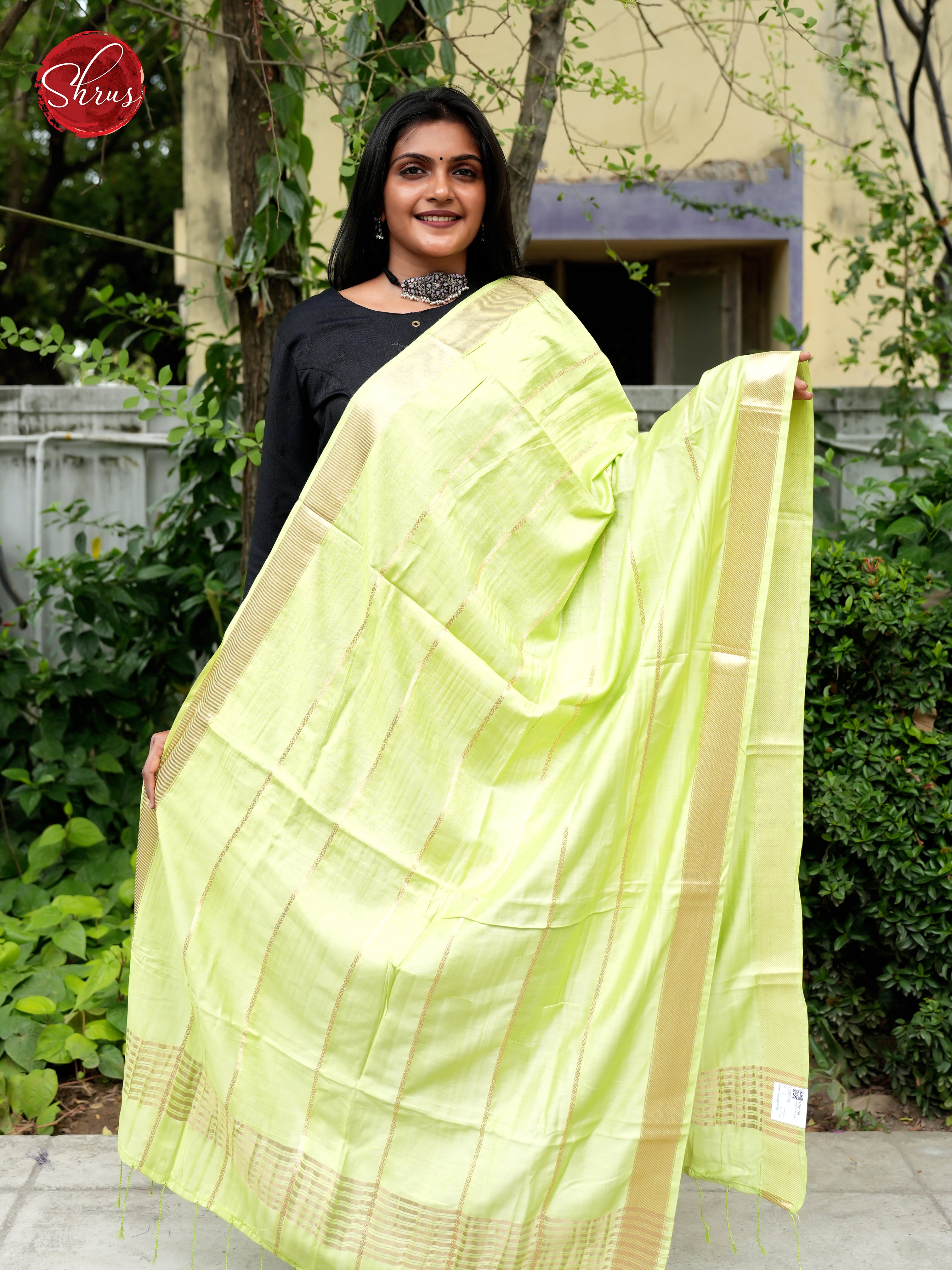 Green - Semi Organza Dupatta - Shop on ShrusEternity.com