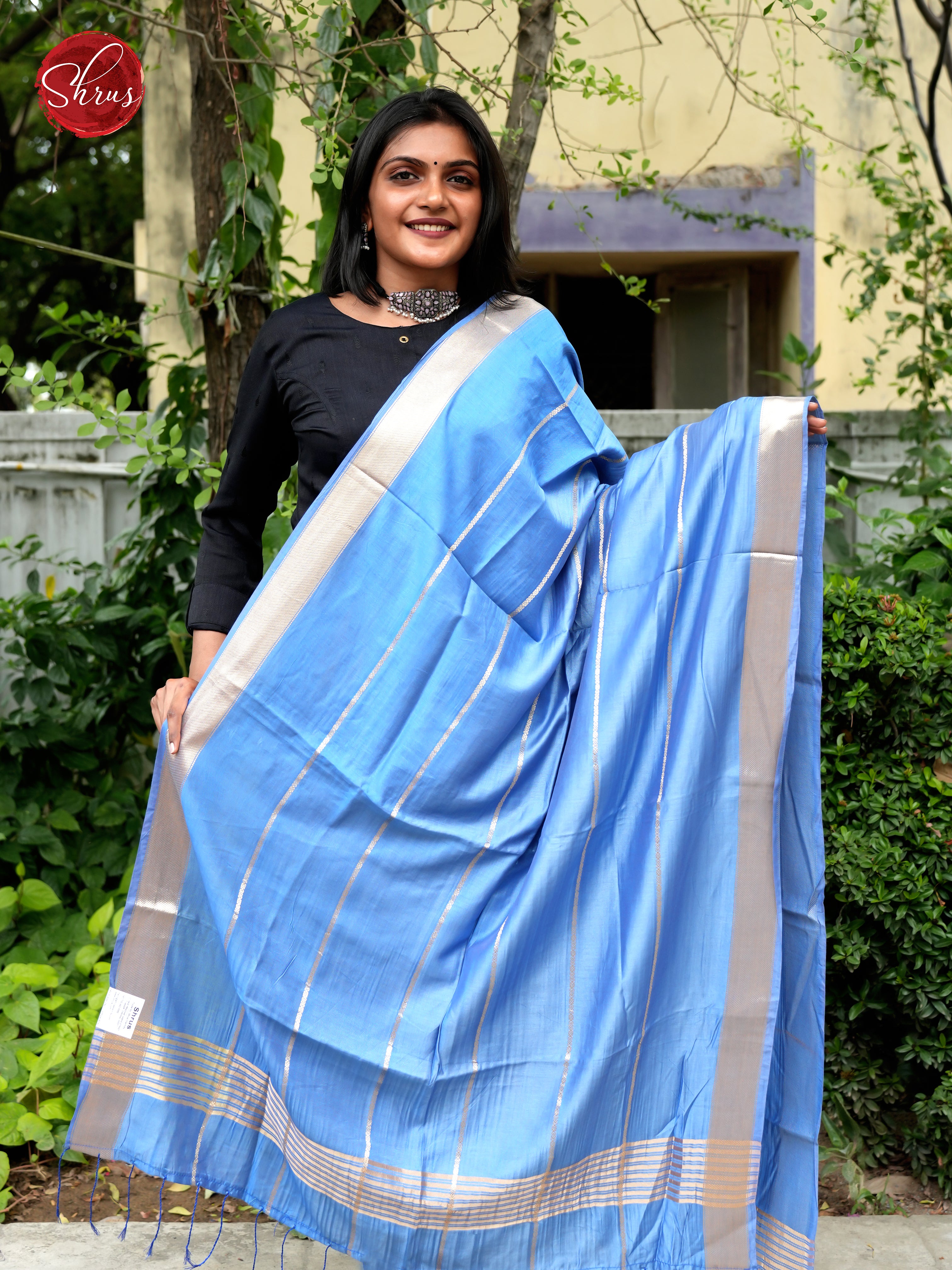 Blue - Semi Organza Dupatta - Shop on ShrusEternity.com