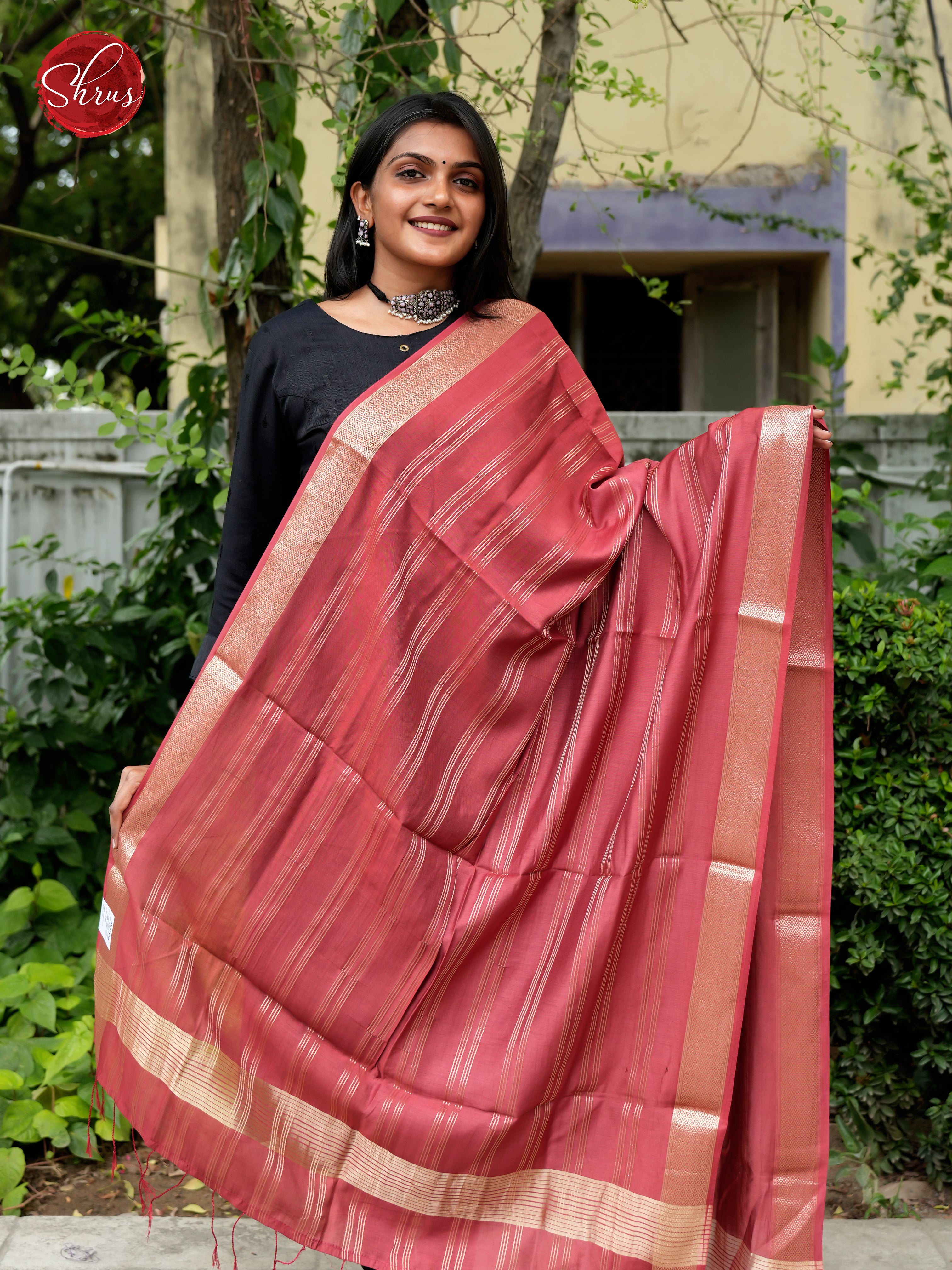 Brick - Semi Organza Dupatta - Shop on ShrusEternity.com