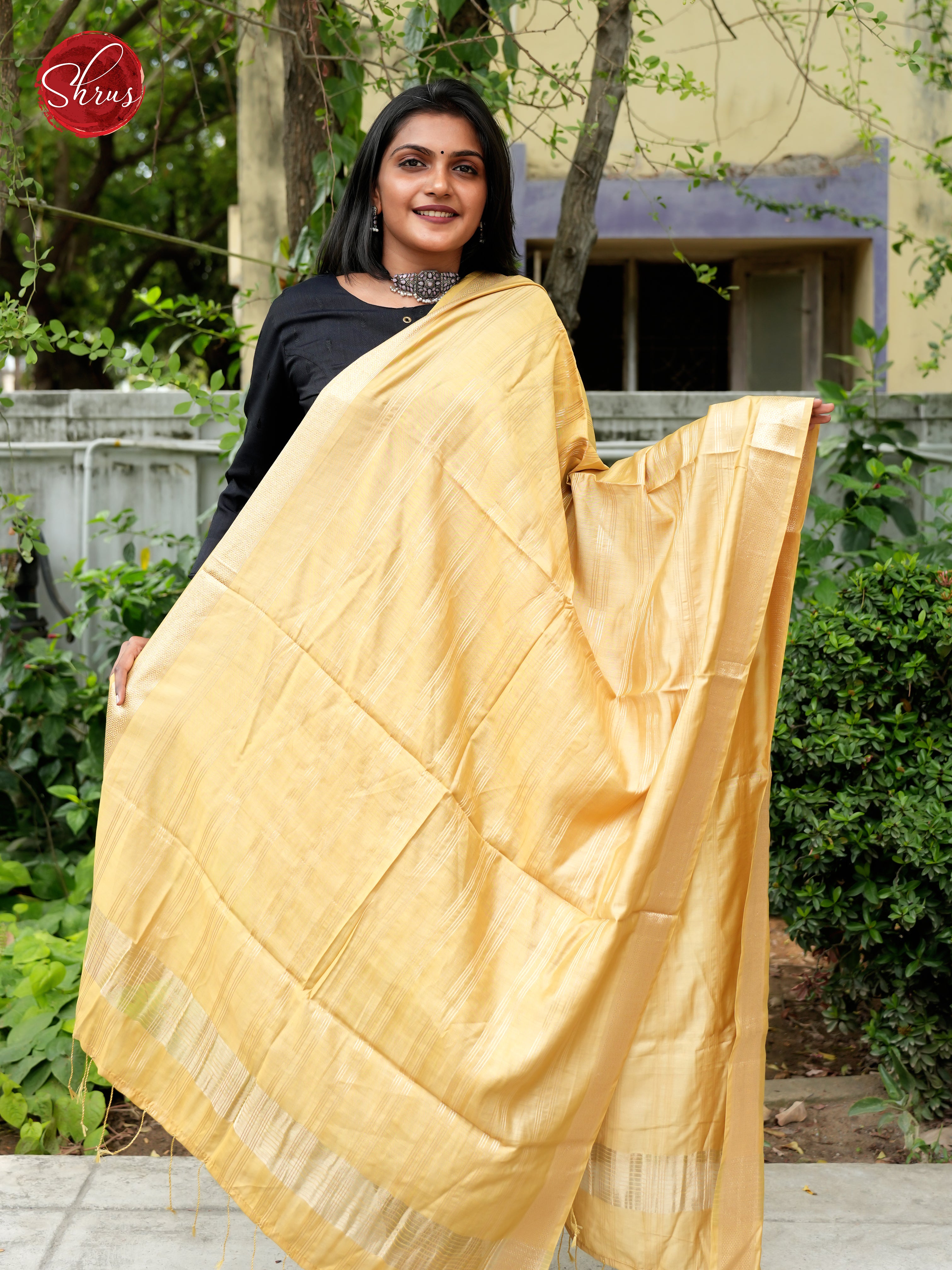Yellow - Semi Organza Dupatta - Shop on ShrusEternity.com