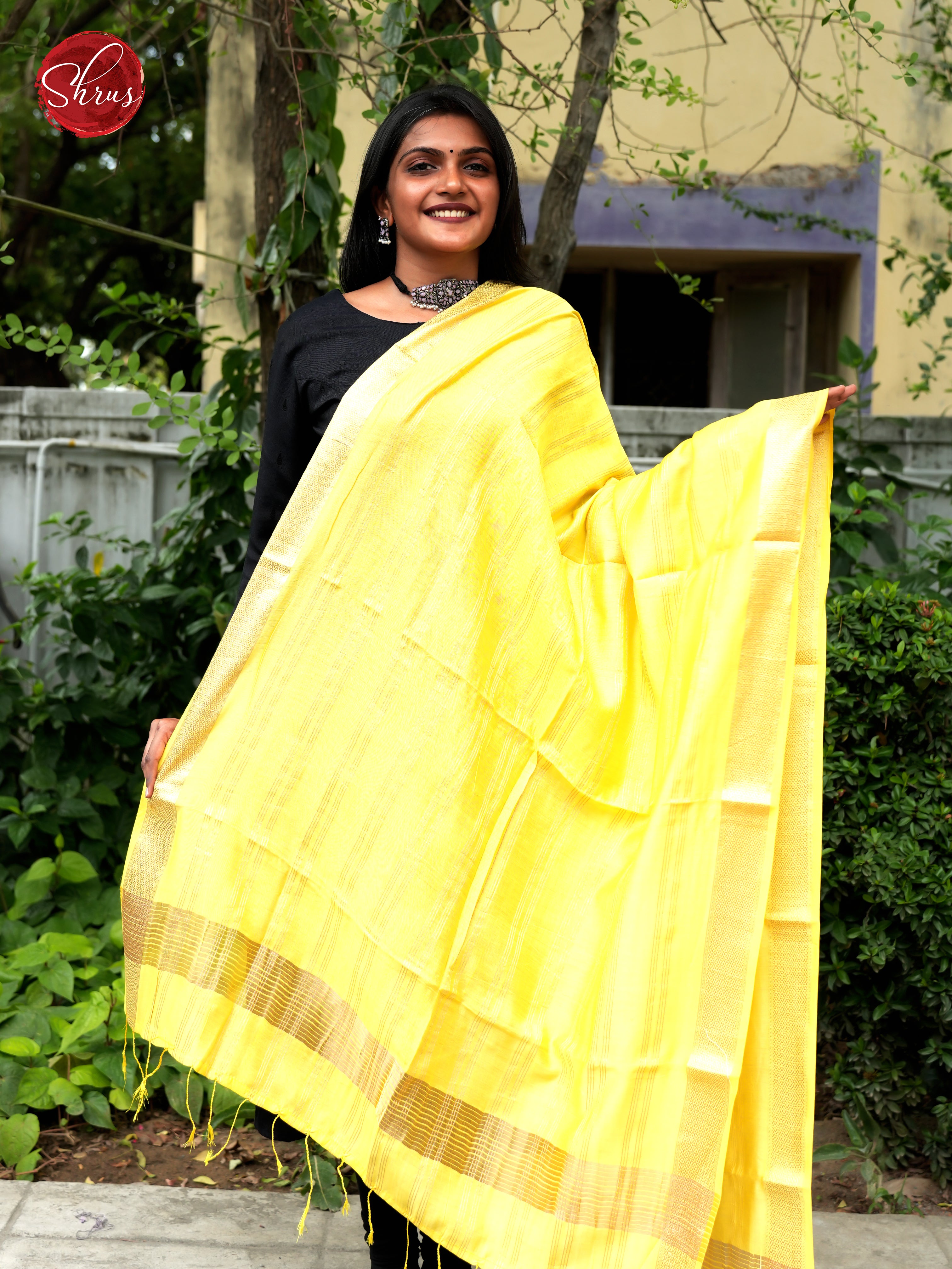 Yellow - Semi Organza Dupatta - Shop on ShrusEternity.com