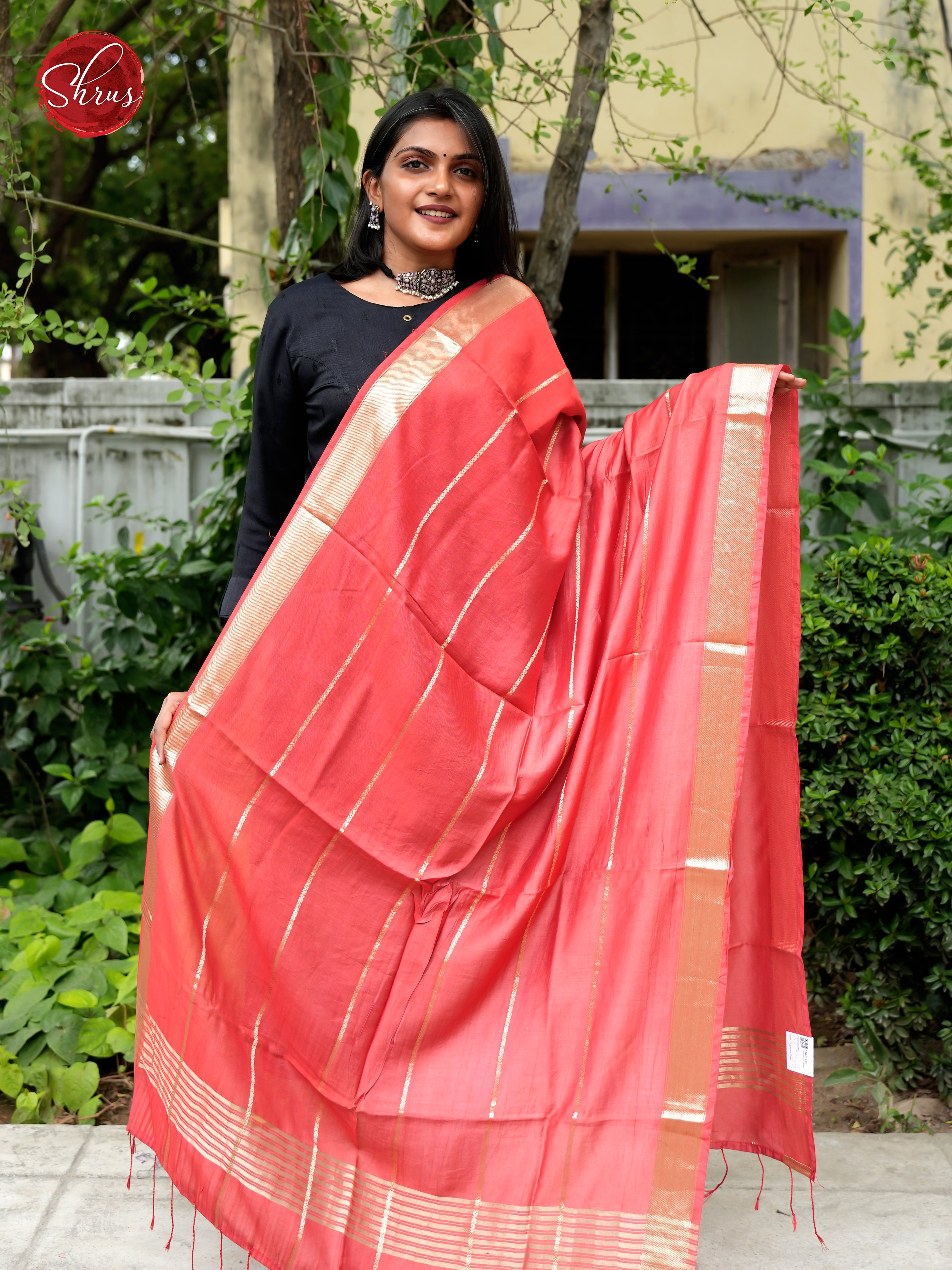 Brick Red - Semi Organza Dupatta - Shop on ShrusEternity.com