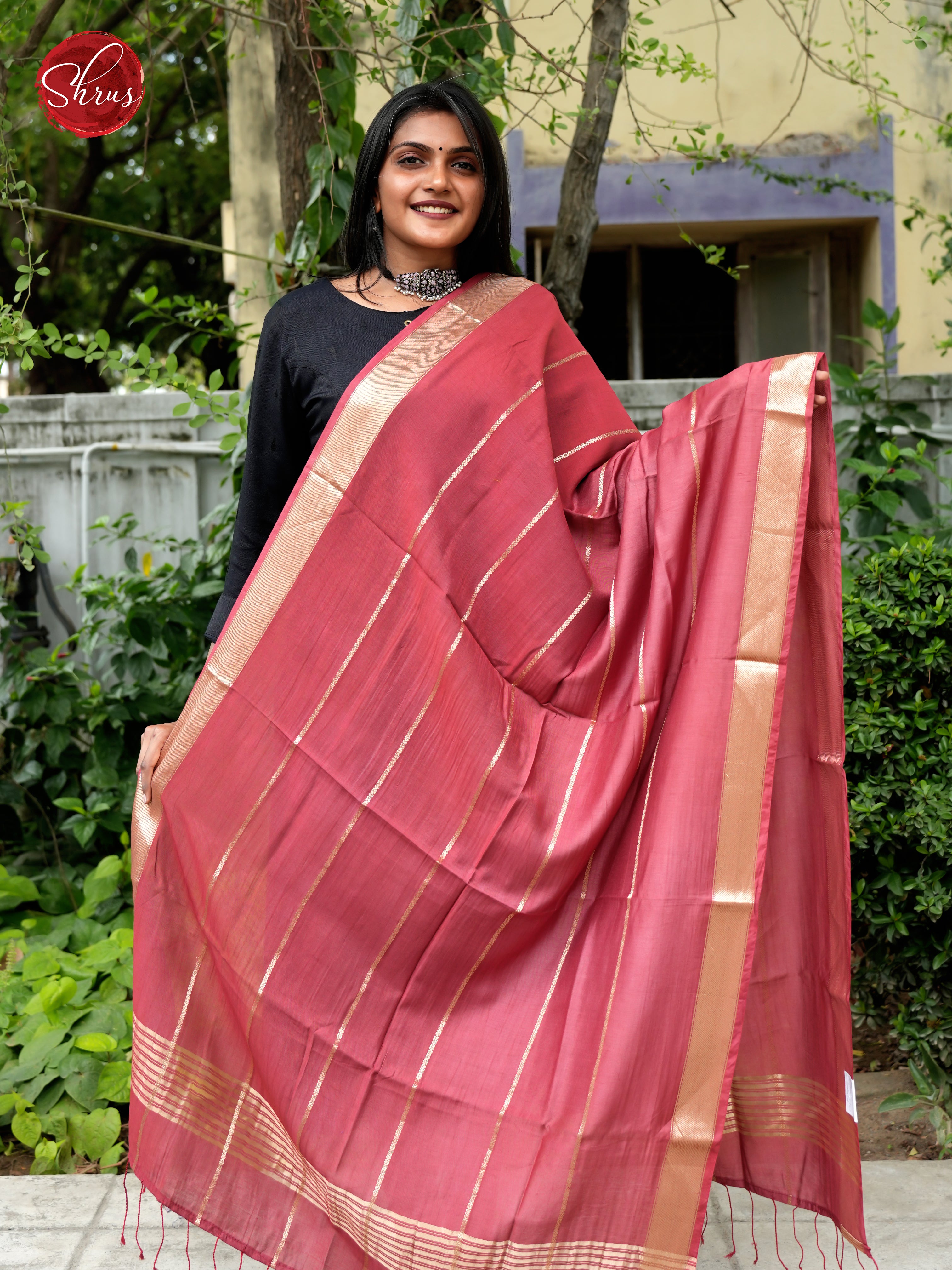 Brick - Semi Organza Dupatta - Shop on ShrusEternity.com