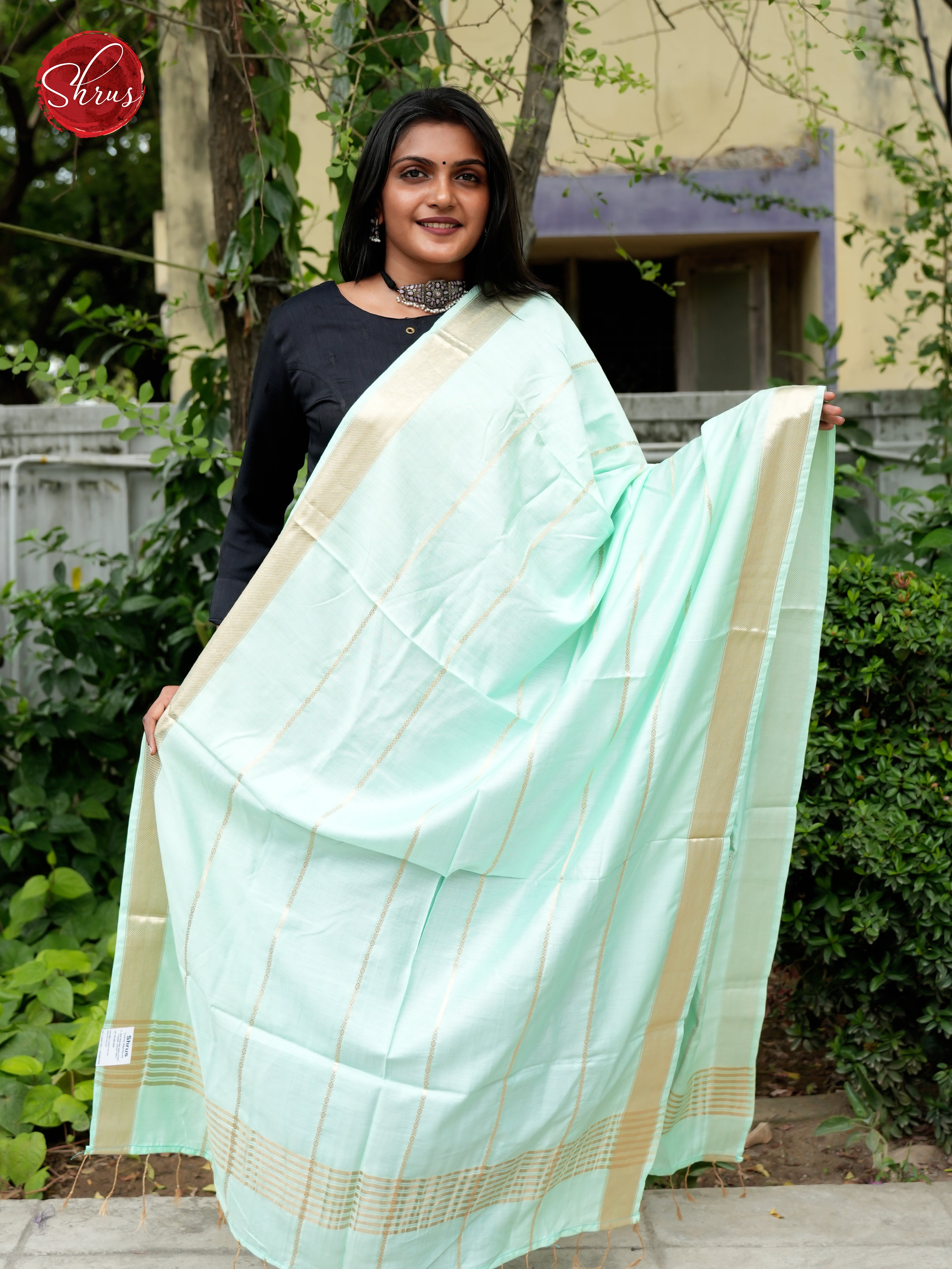 Ice Green - Semi Organza Dupatta - Shop on ShrusEternity.com