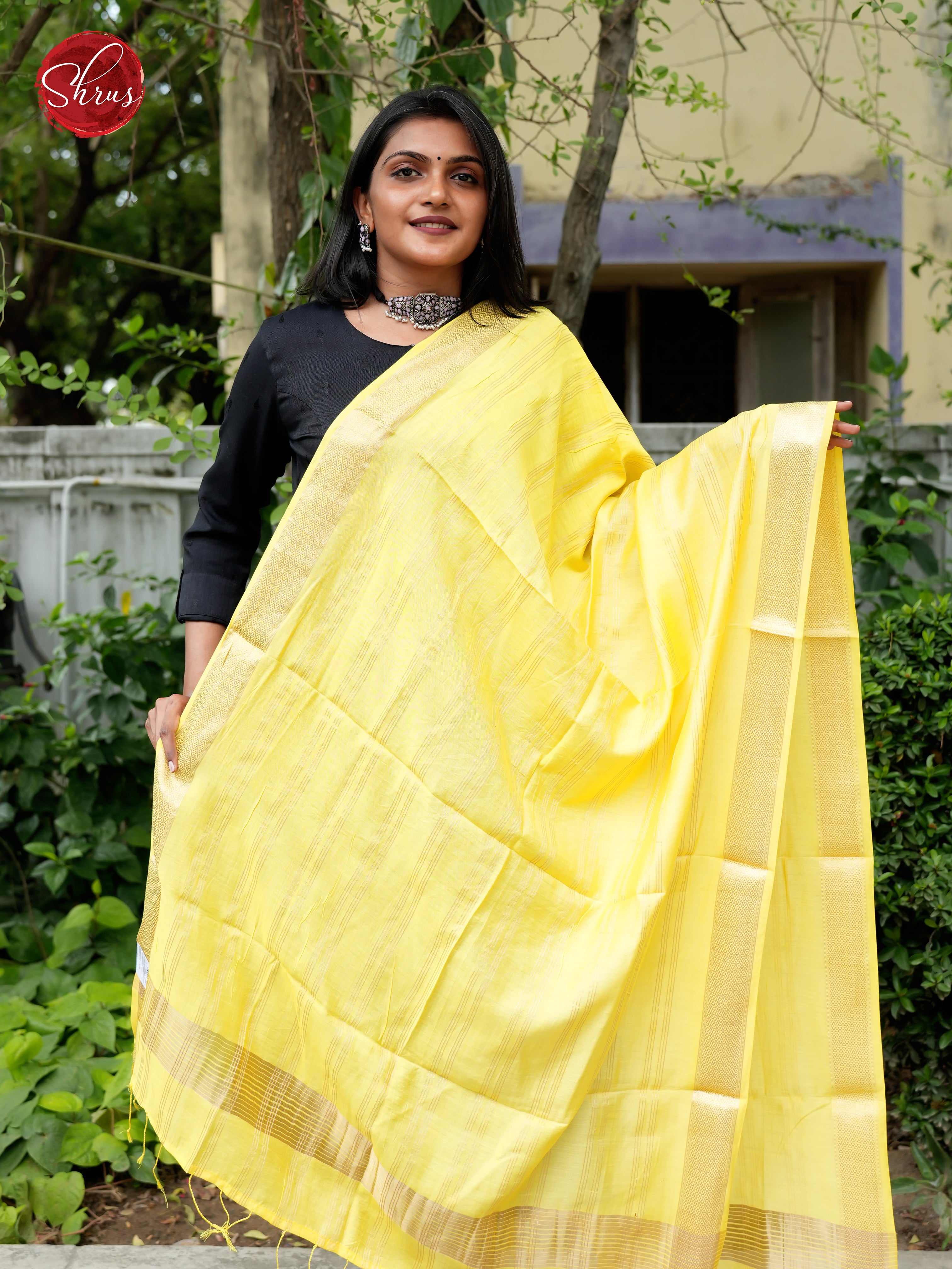 Yellow - Semi Organza Dupatta - Shop on ShrusEternity.com
