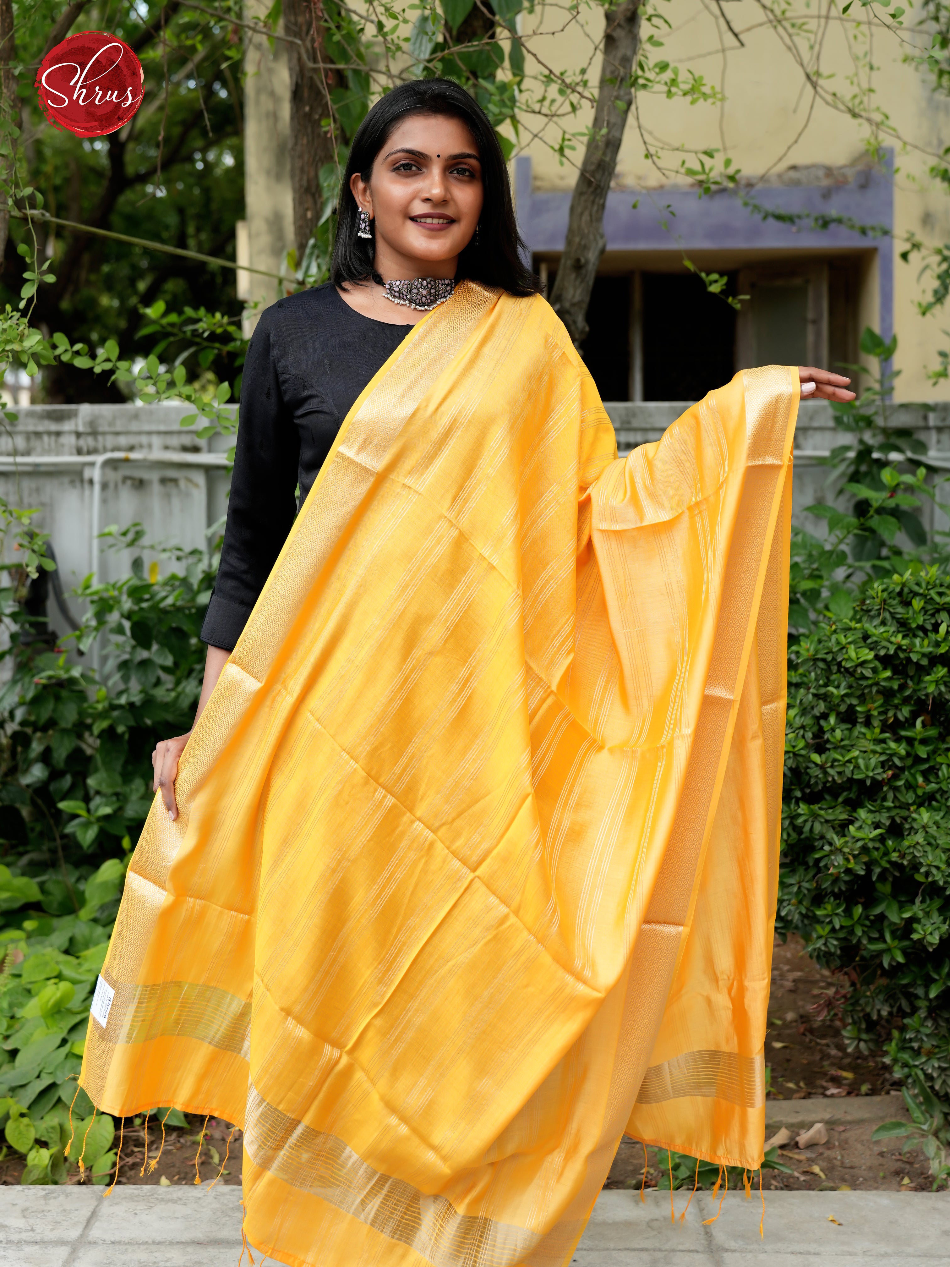 Yellow - Semi Organza Dupatta - Shop on ShrusEternity.com