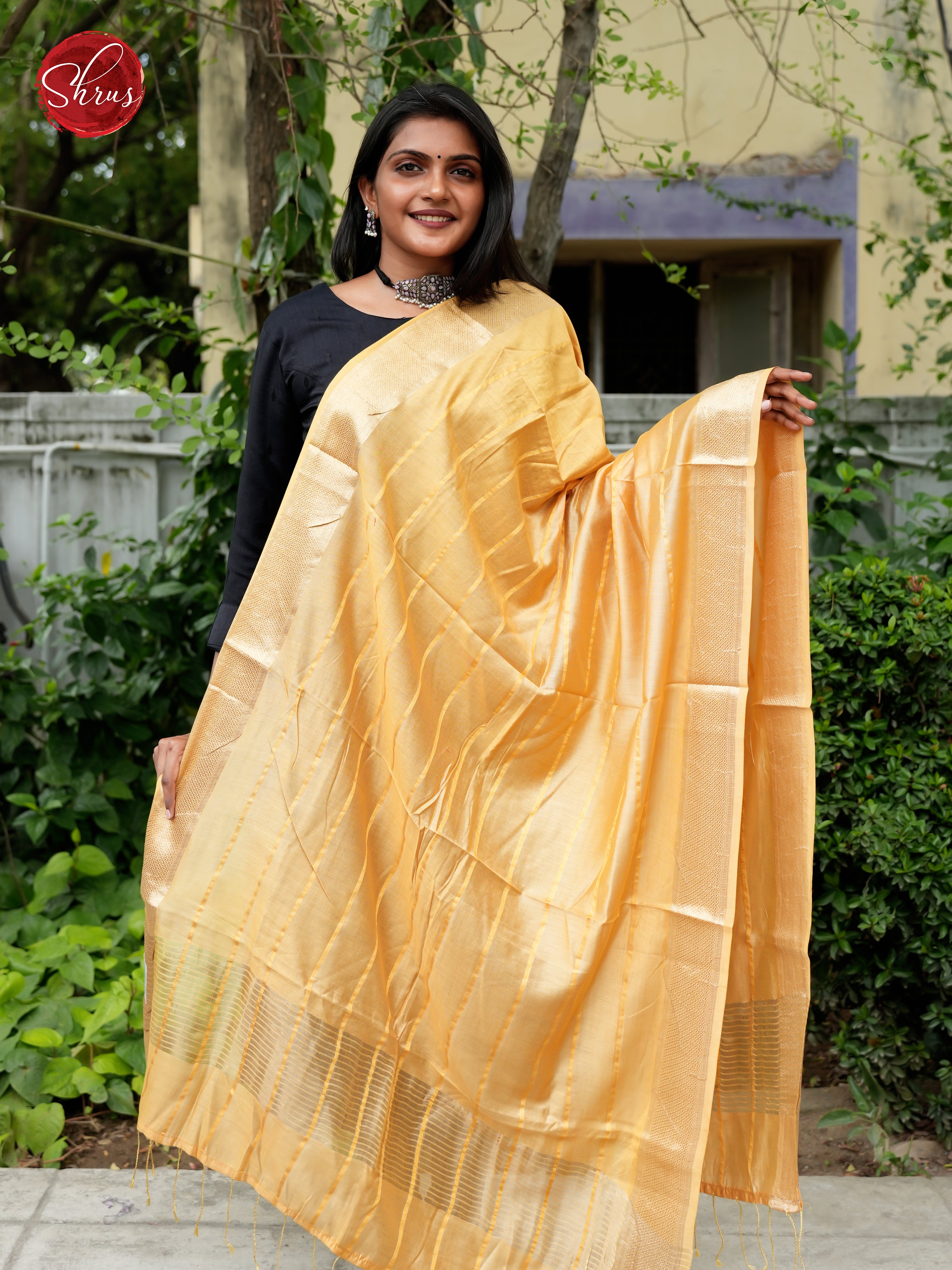 Yellow - Semi Organza Dupatta - Shop on ShrusEternity.com