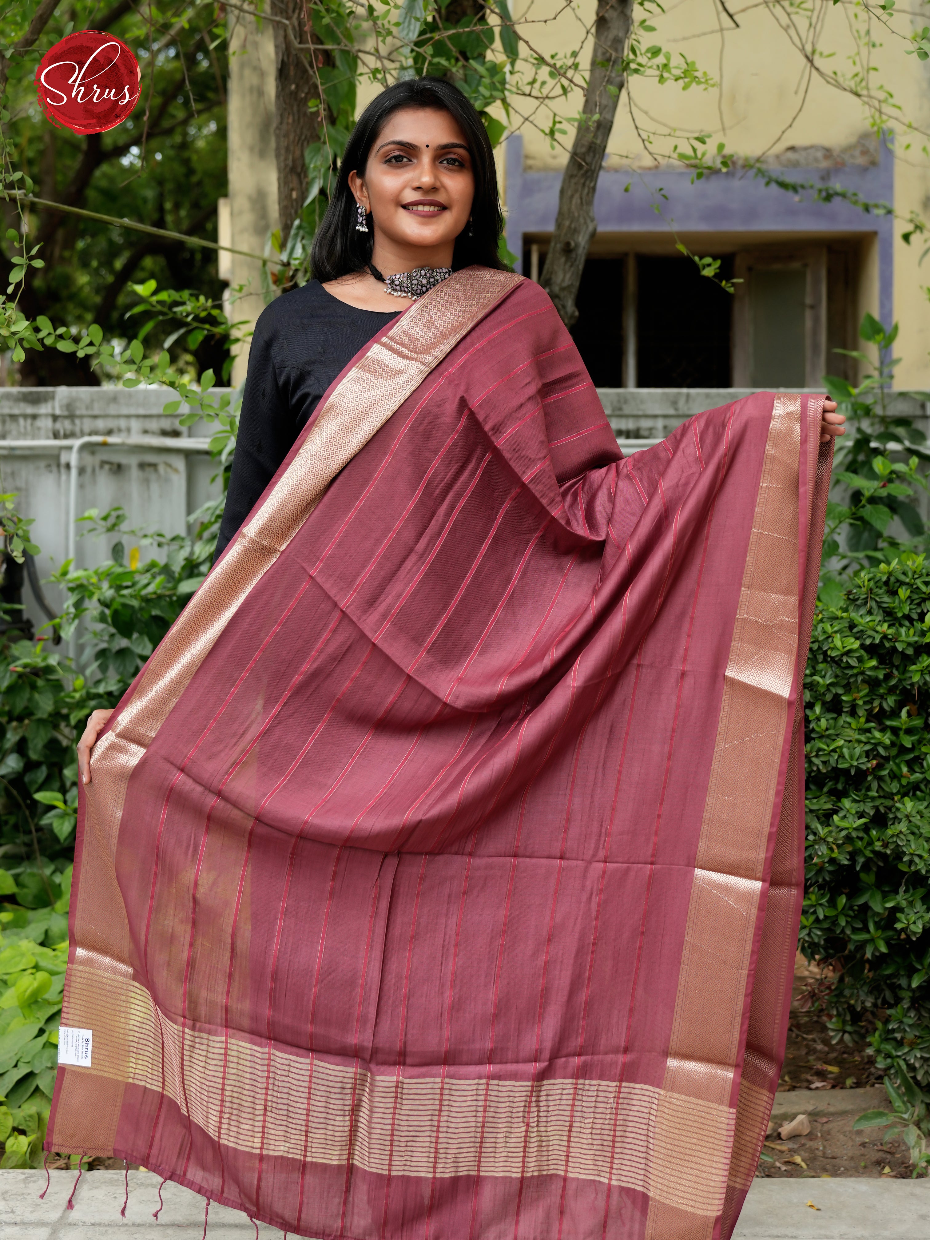 Onion Peel - Semi Organza Dupatta - Shop on ShrusEternity.com