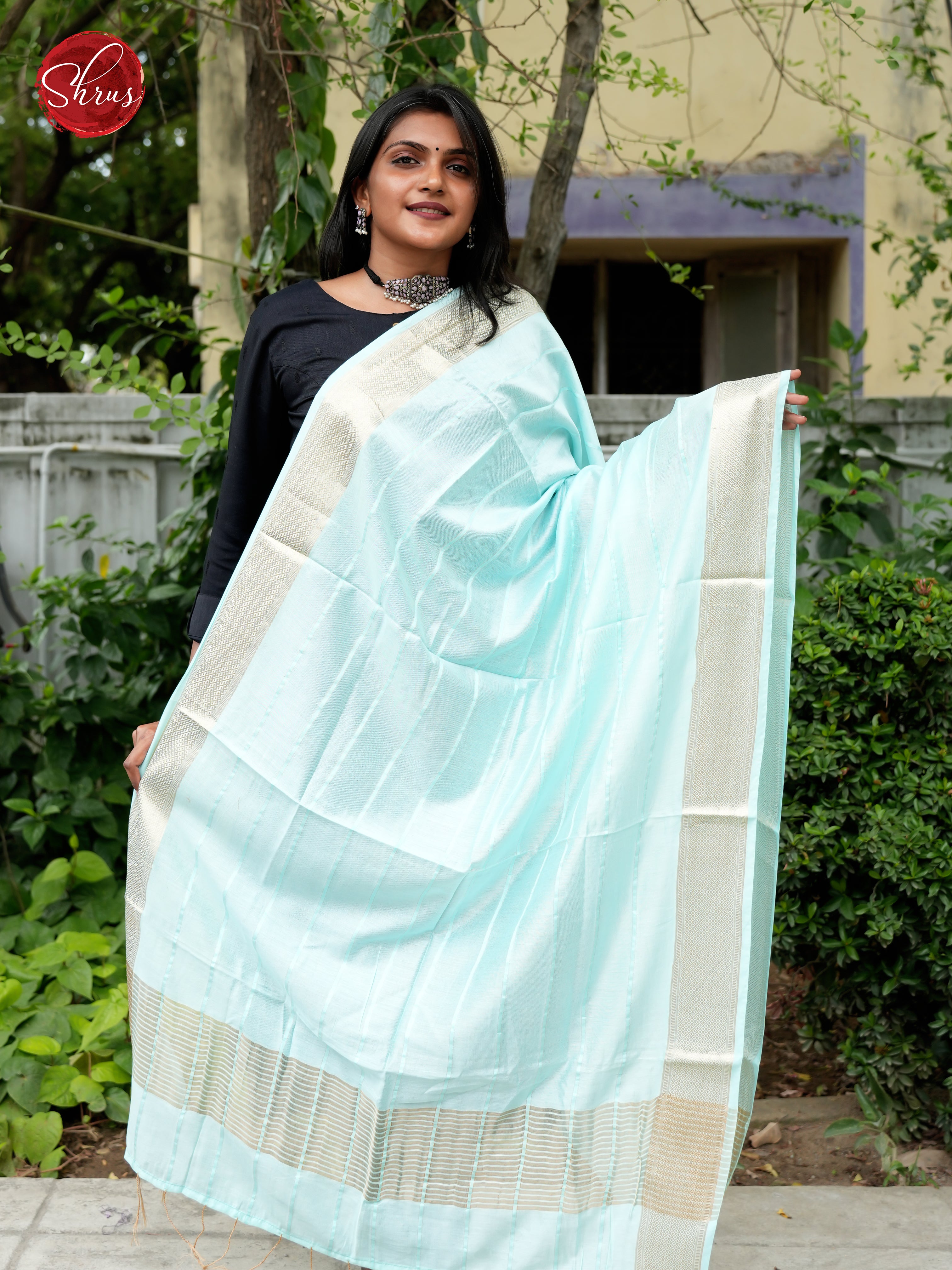 Ice Blue - Semi Organza Dupatta - Shop on ShrusEternity.com