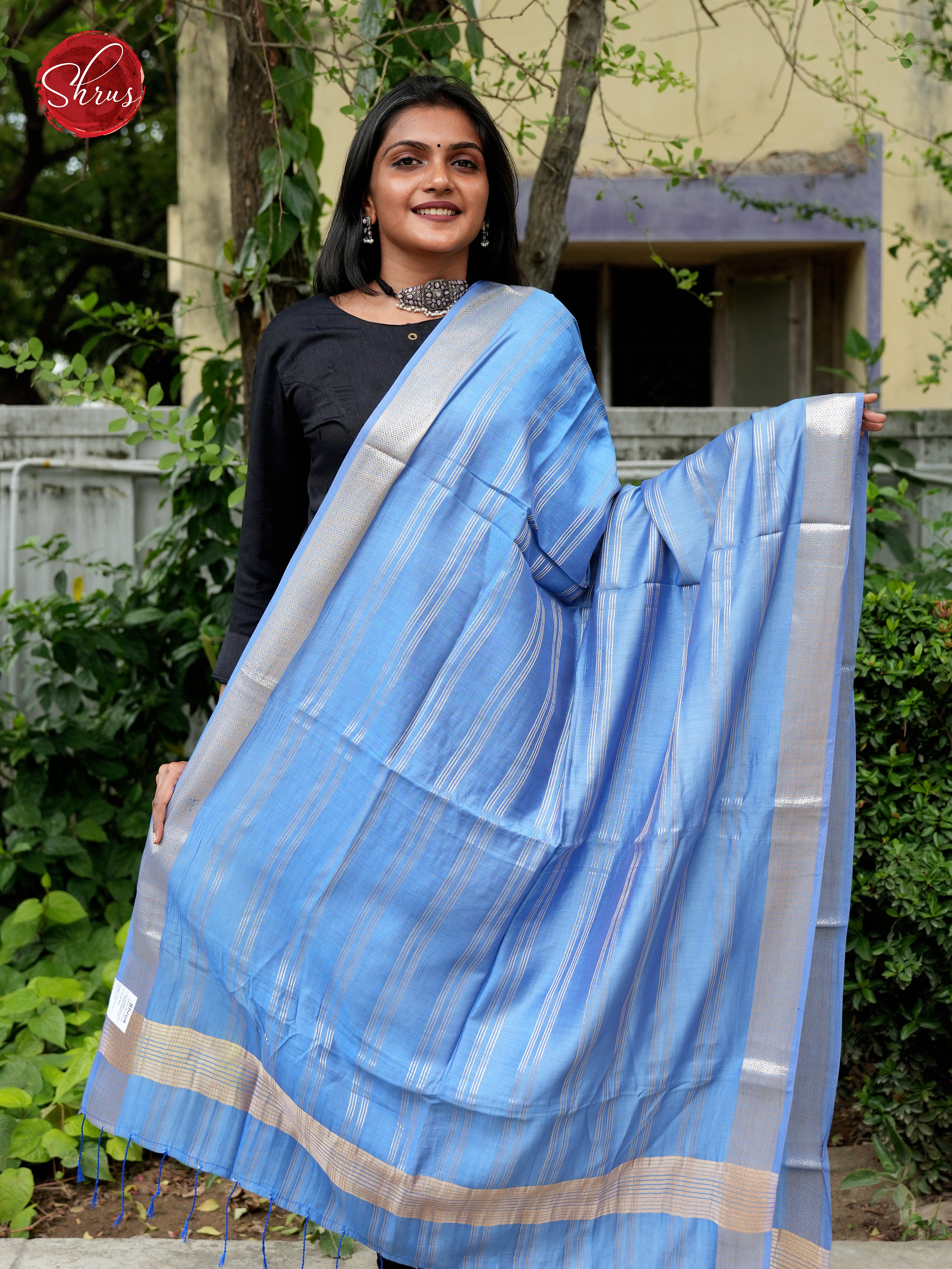 Blue - Semi Organza Dupatta - Shop on ShrusEternity.com