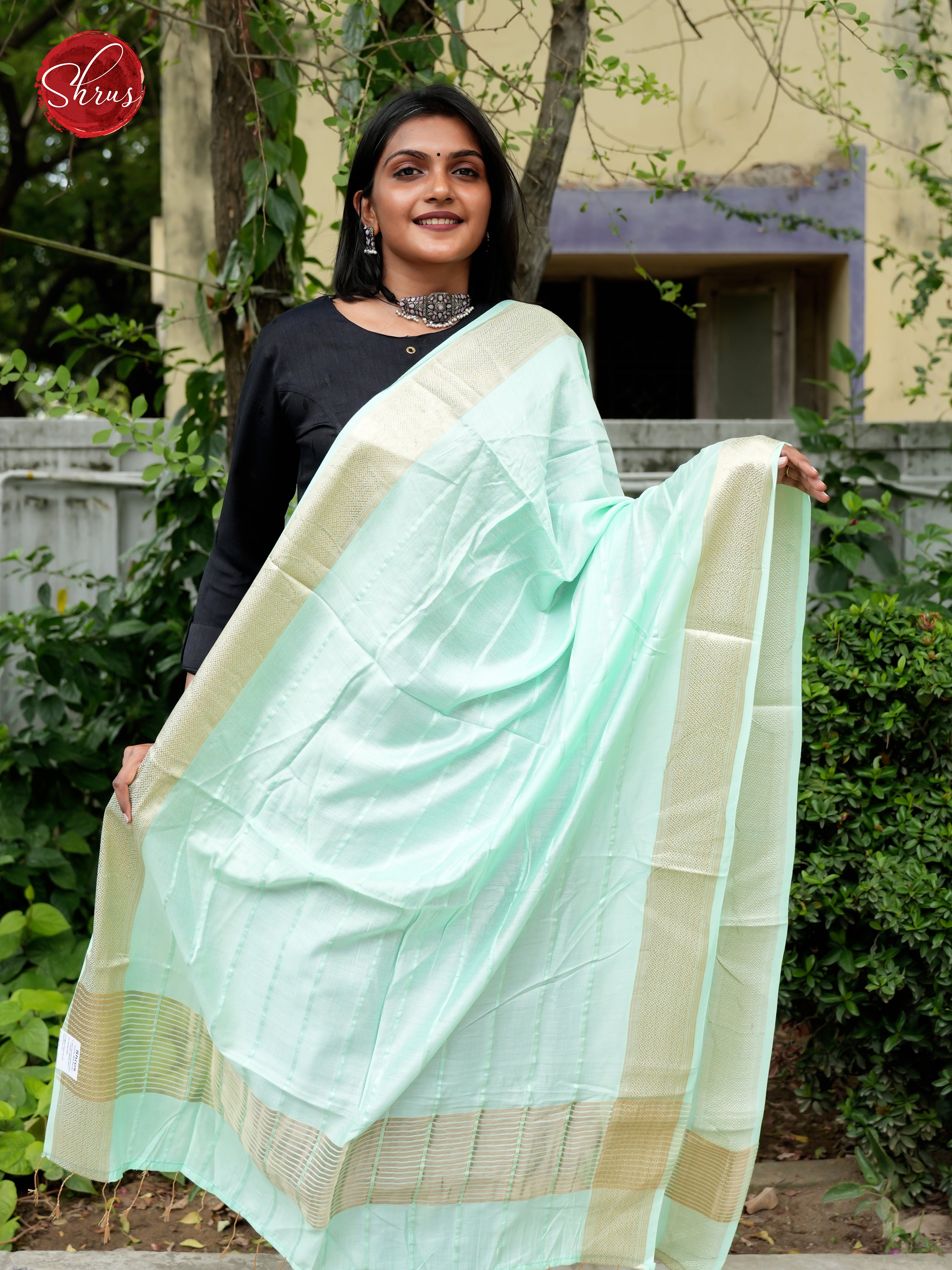 Ice Green - Semi Organza Dupatta - Shop on ShrusEternity.com