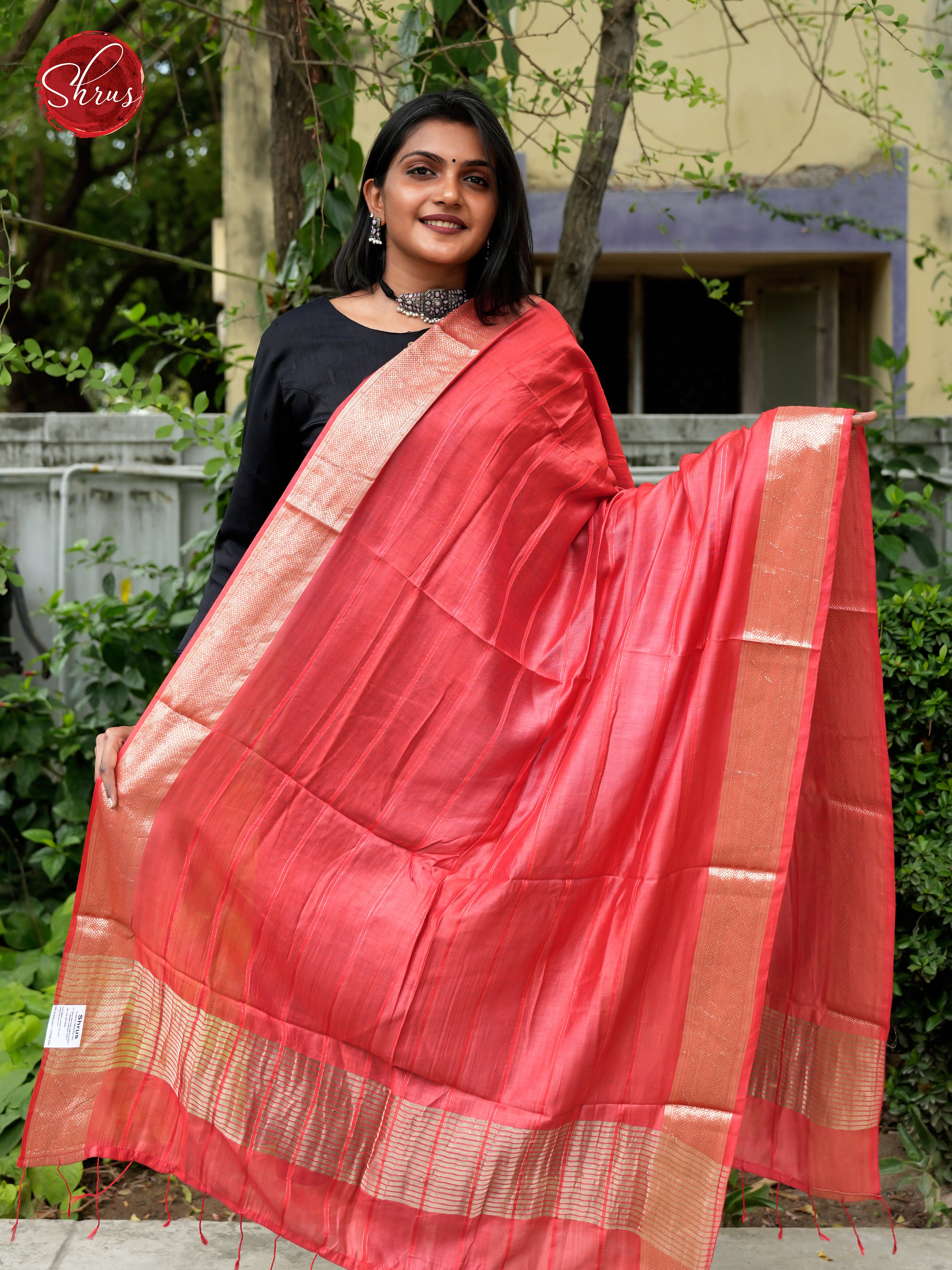 Red - Semi Organza Dupatta - Shop on ShrusEternity.com