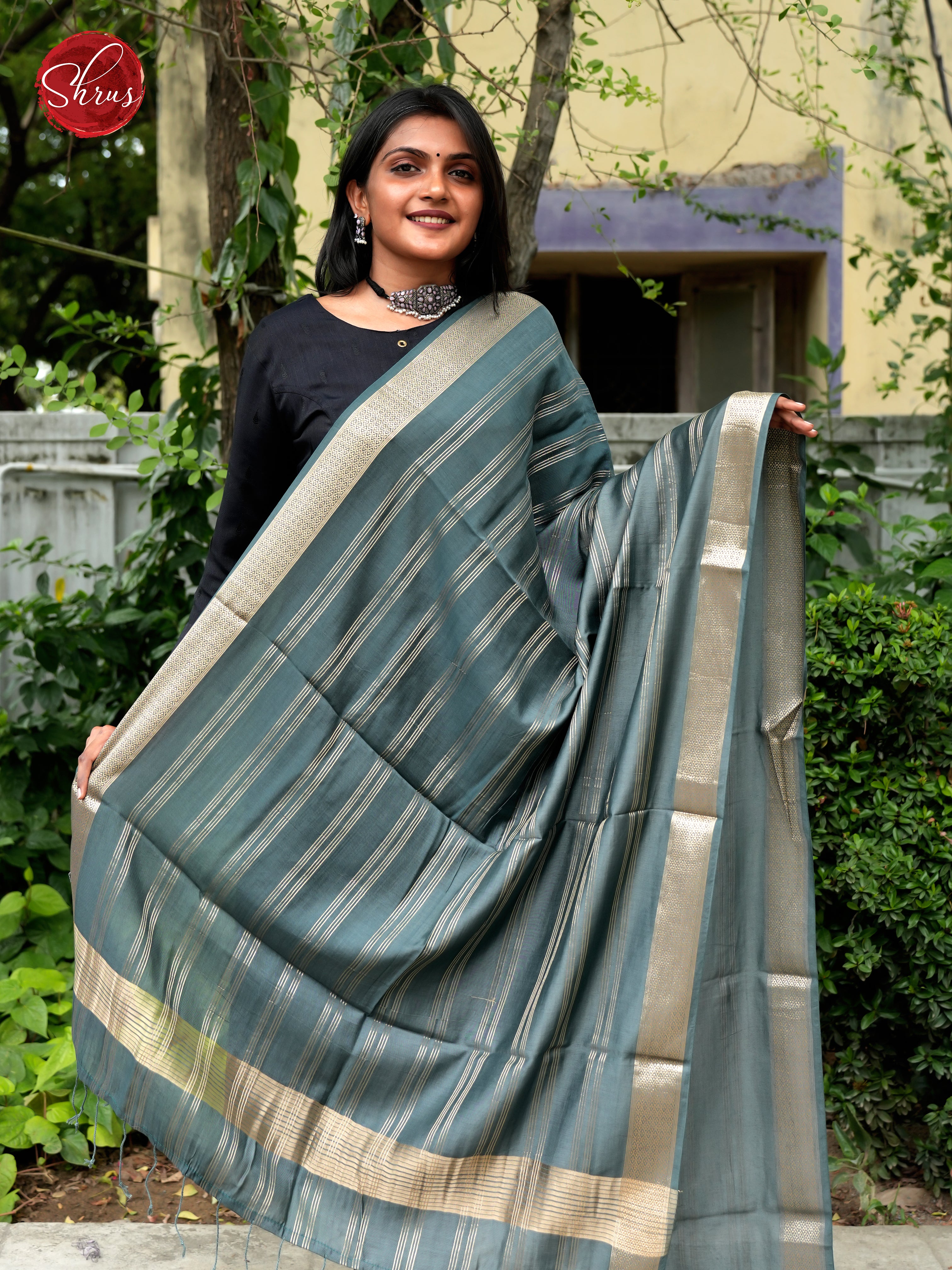Grey - Semi Organza Dupatta - Shop on ShrusEternity.com