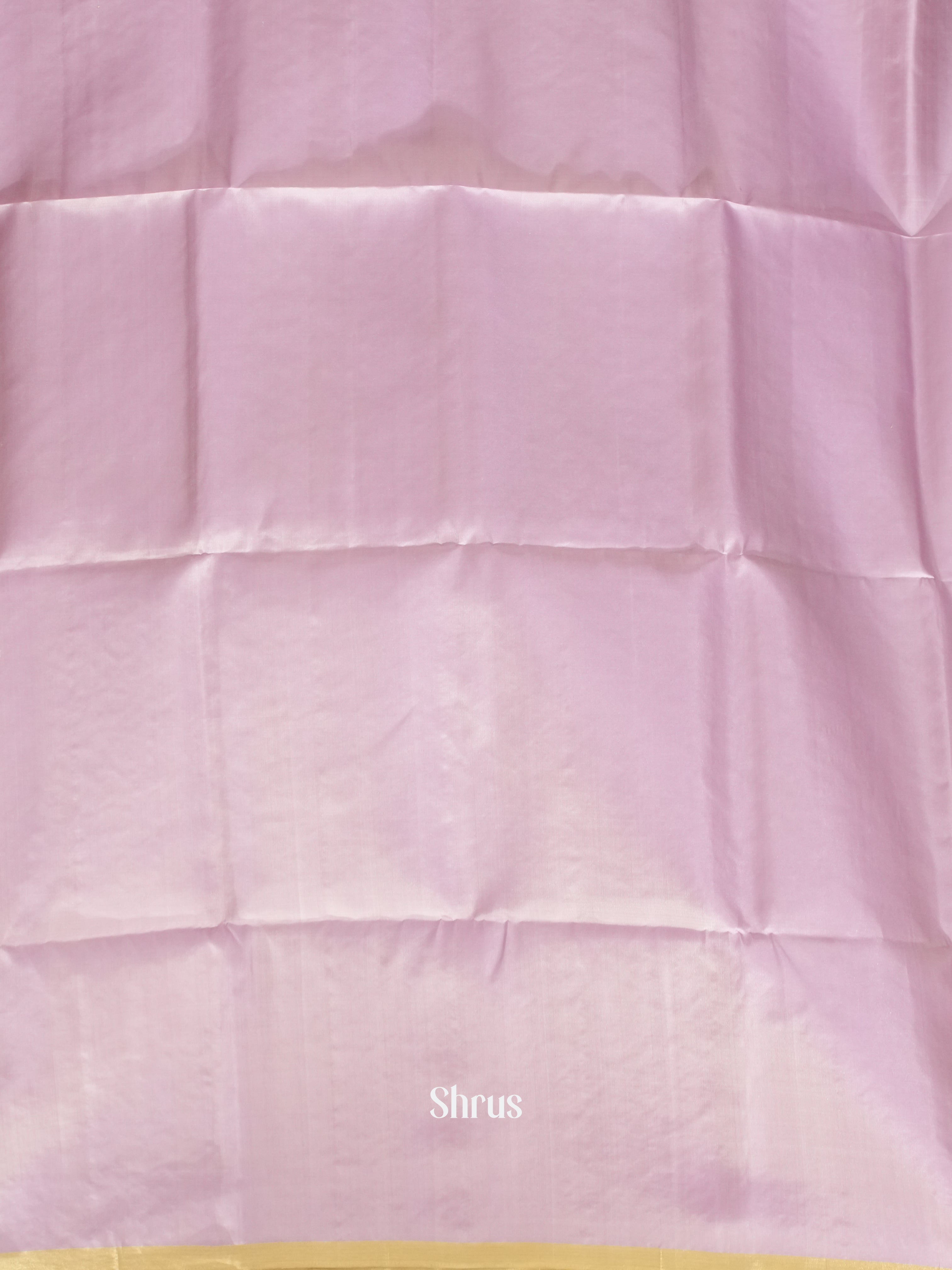 CES02149 - Soft Silk Saree - Shop on ShrusEternity.com