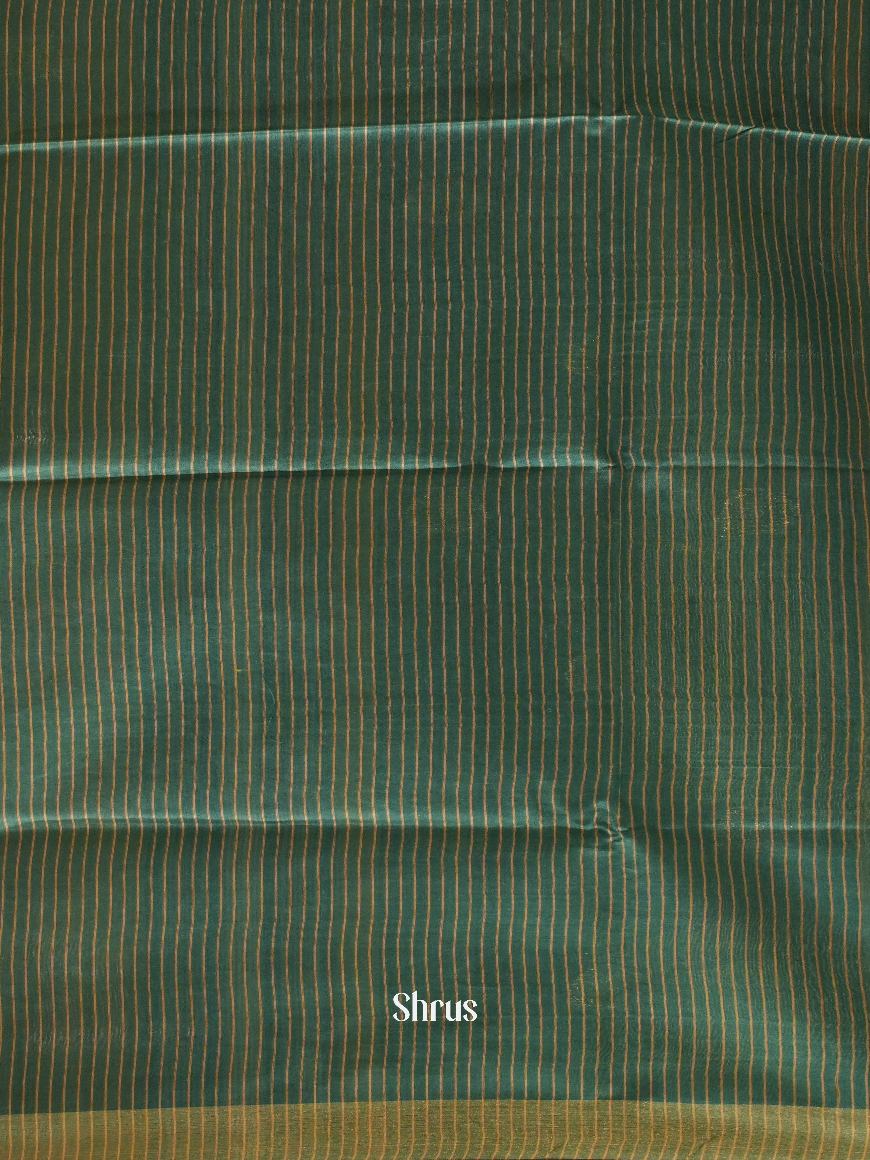 Mehandi Green & Green - Raw Silk Saree - Shop on ShrusEternity.com