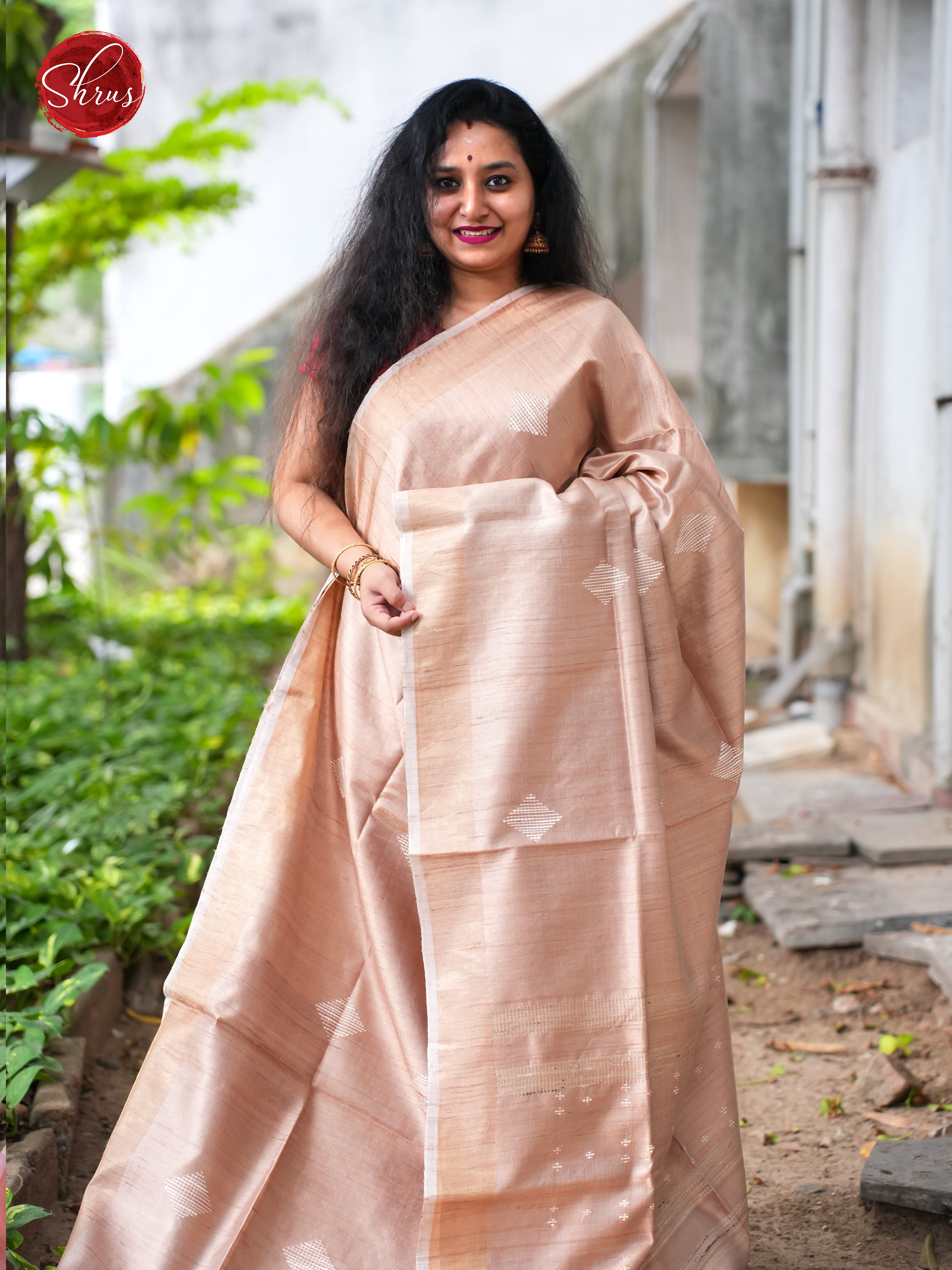 Dusty Brown(Single Tone) - Raw Silk Saree - Shop on ShrusEternity.com