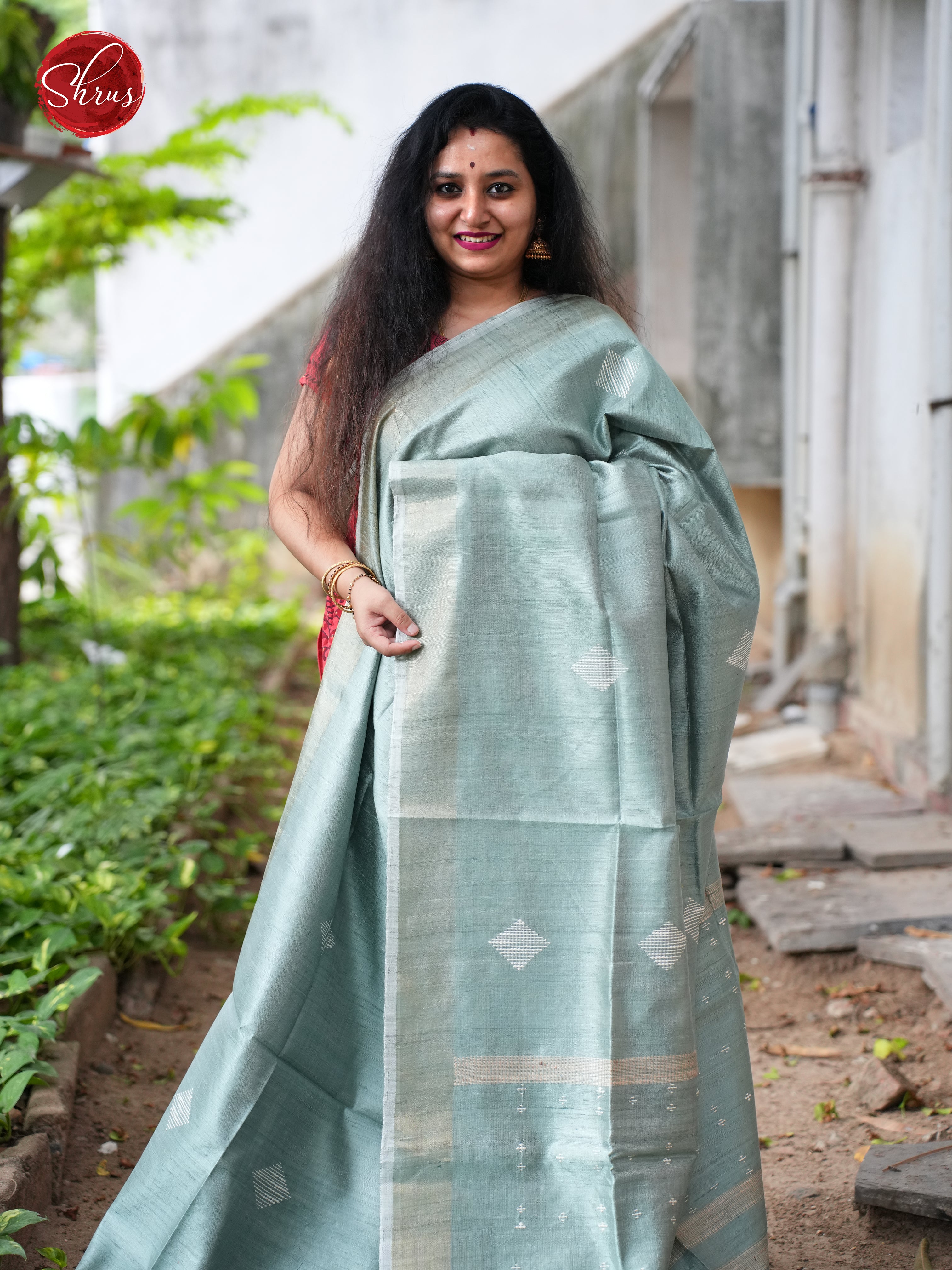Greyish Blue(Single Tone) - Raw Silk Saree - Shop on ShrusEternity.com