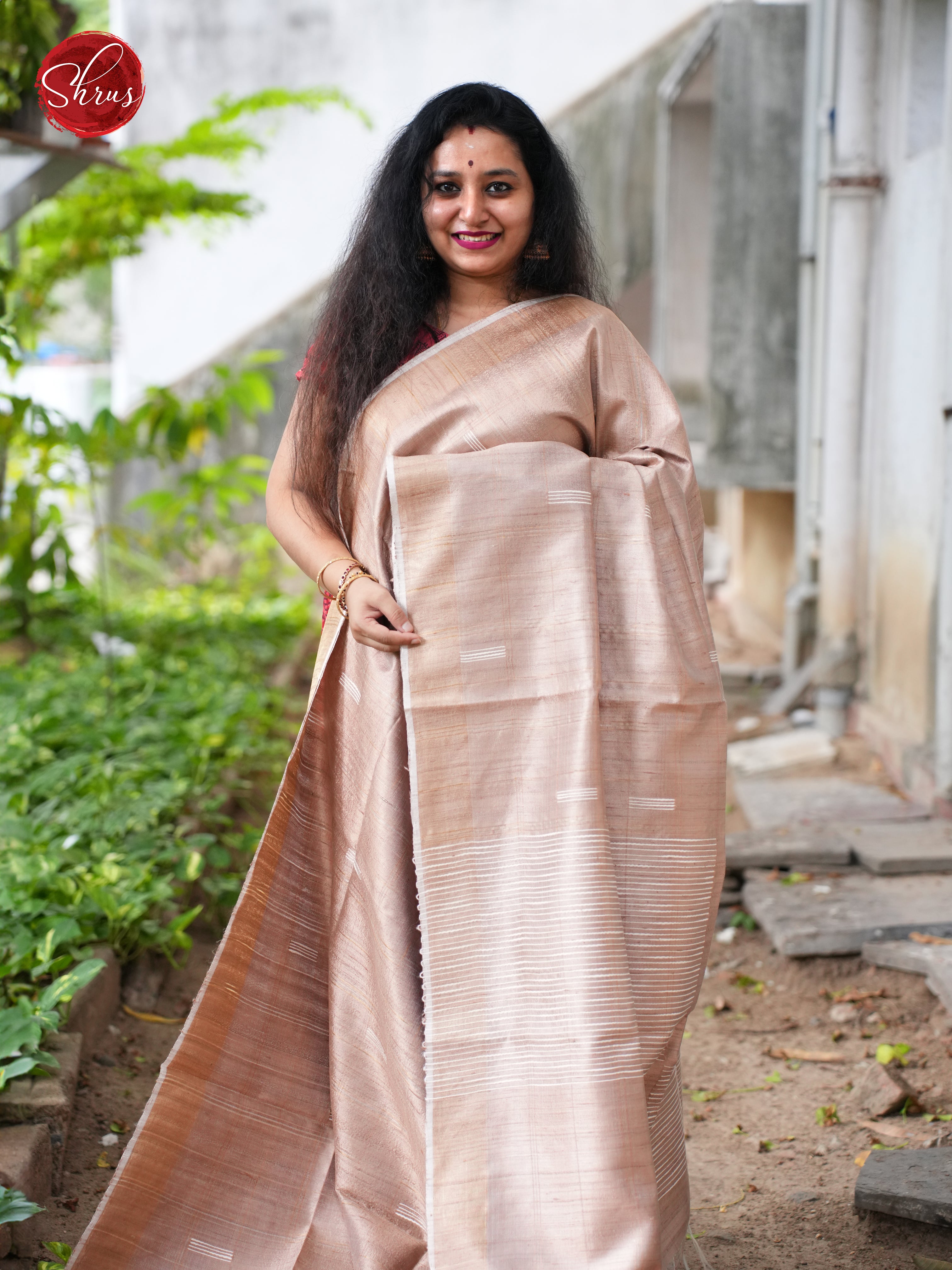 Dusty Brown(Single Tone) - Raw Silk Saree - Shop on ShrusEternity.com