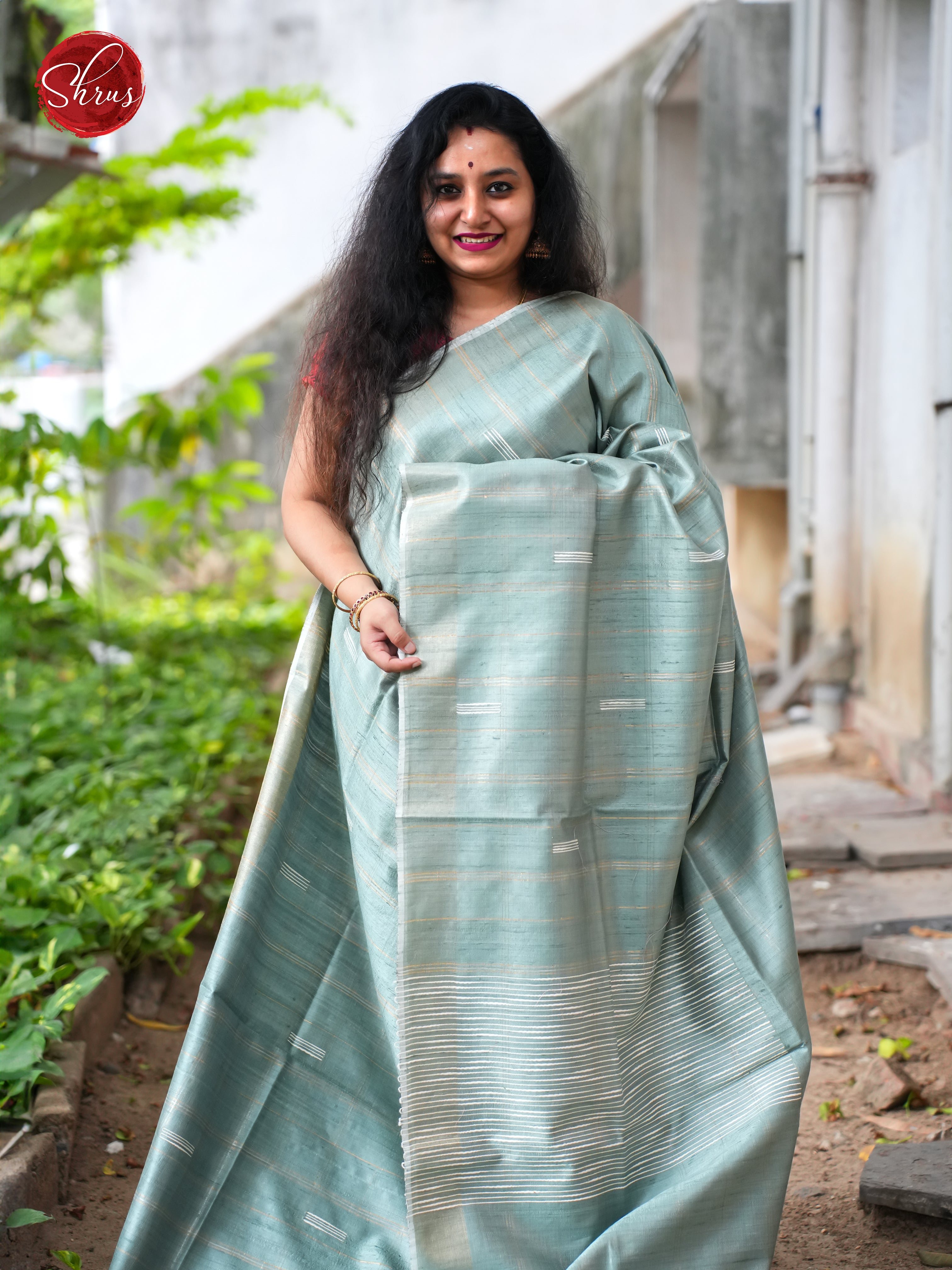 Blue(Single Tone) - Raw Silk Saree - Shop on ShrusEternity.com