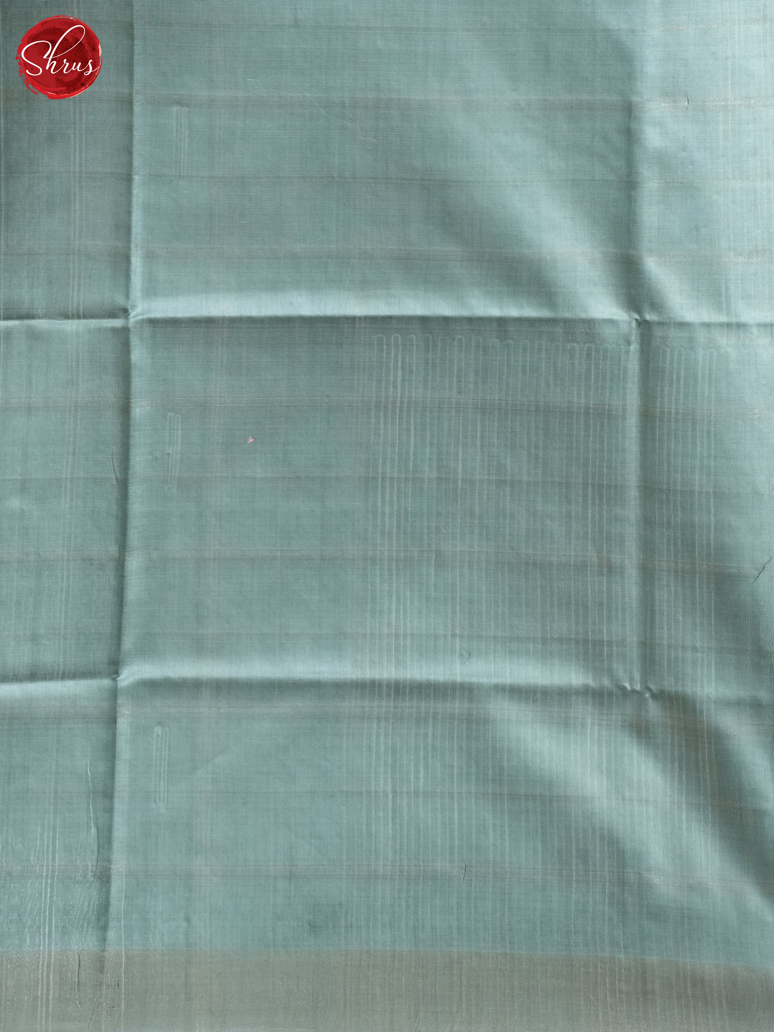 Blue(Single Tone) - Raw Silk Saree - Shop on ShrusEternity.com