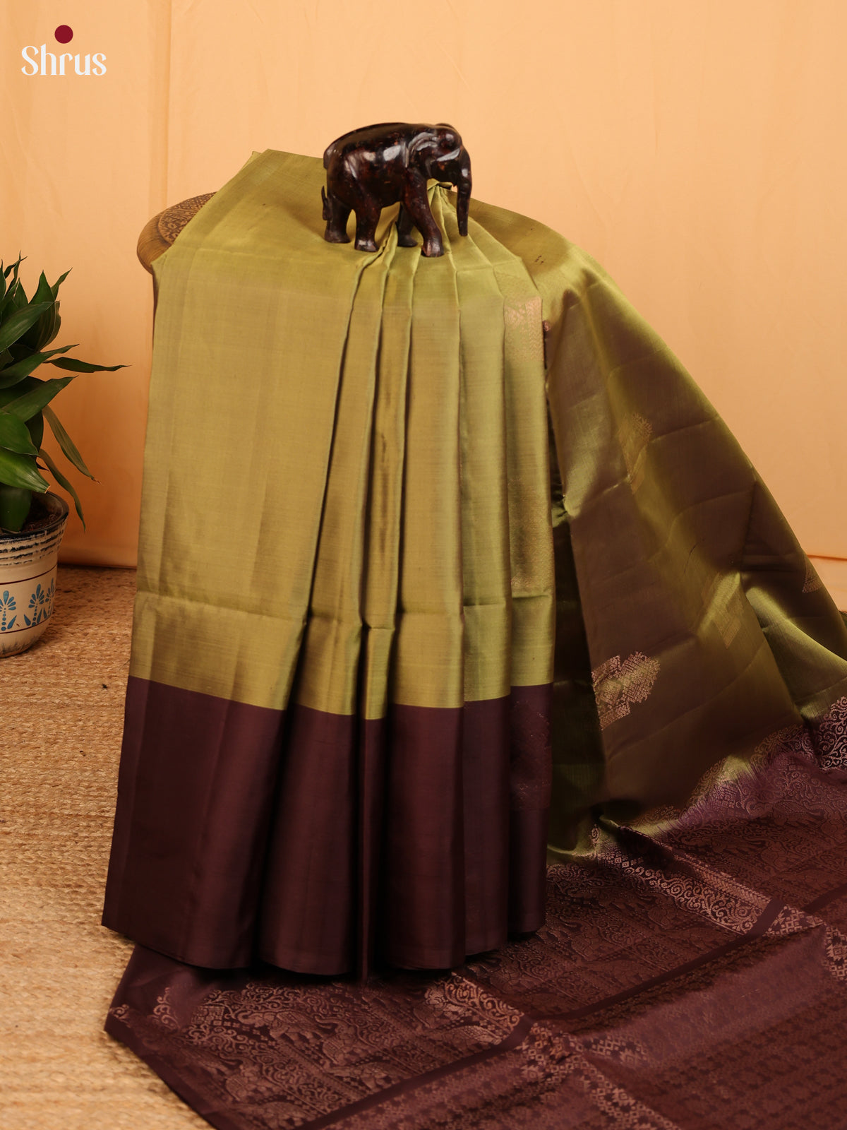 Green & Brown - Soft Silk Saree - Shop on Shrus.com