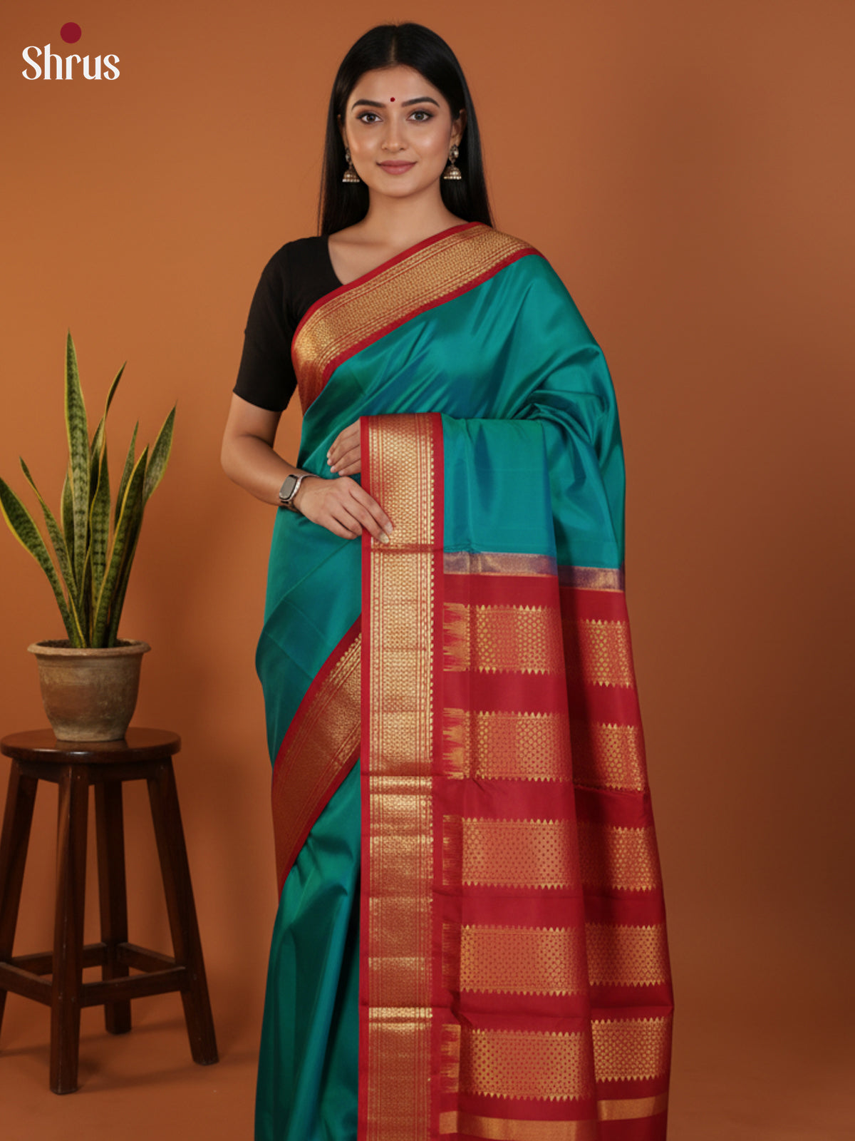 DLS30347 - Kanchipuram silk 9Yards Saree