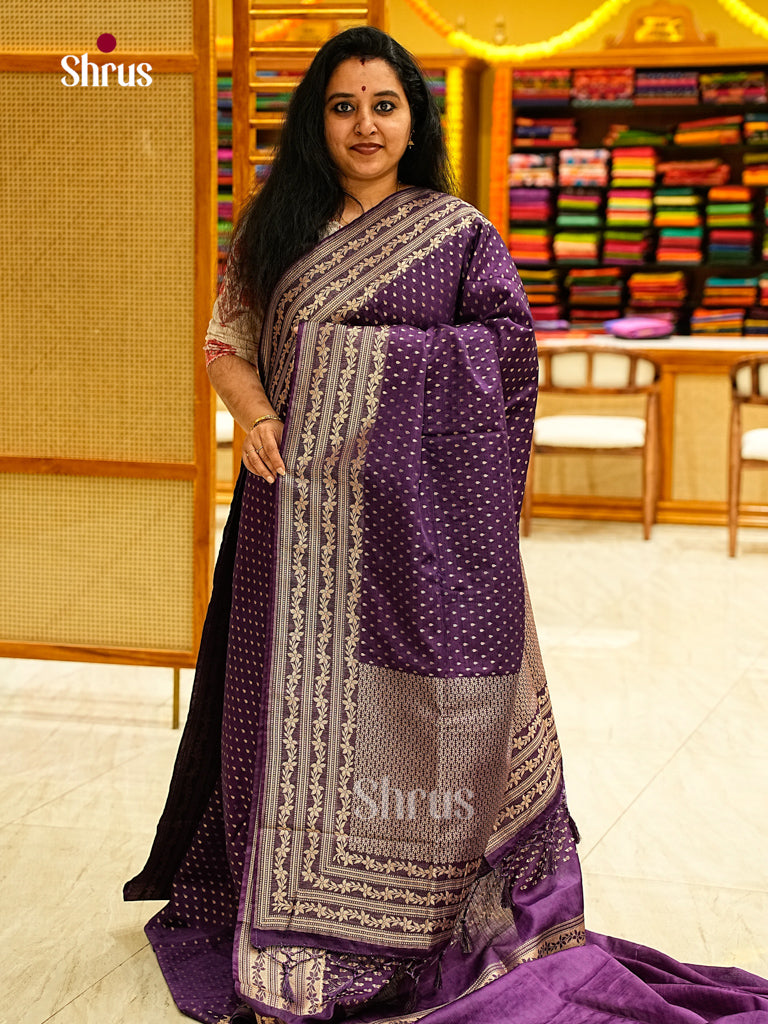 Jute Banaras Saree - EJ24331