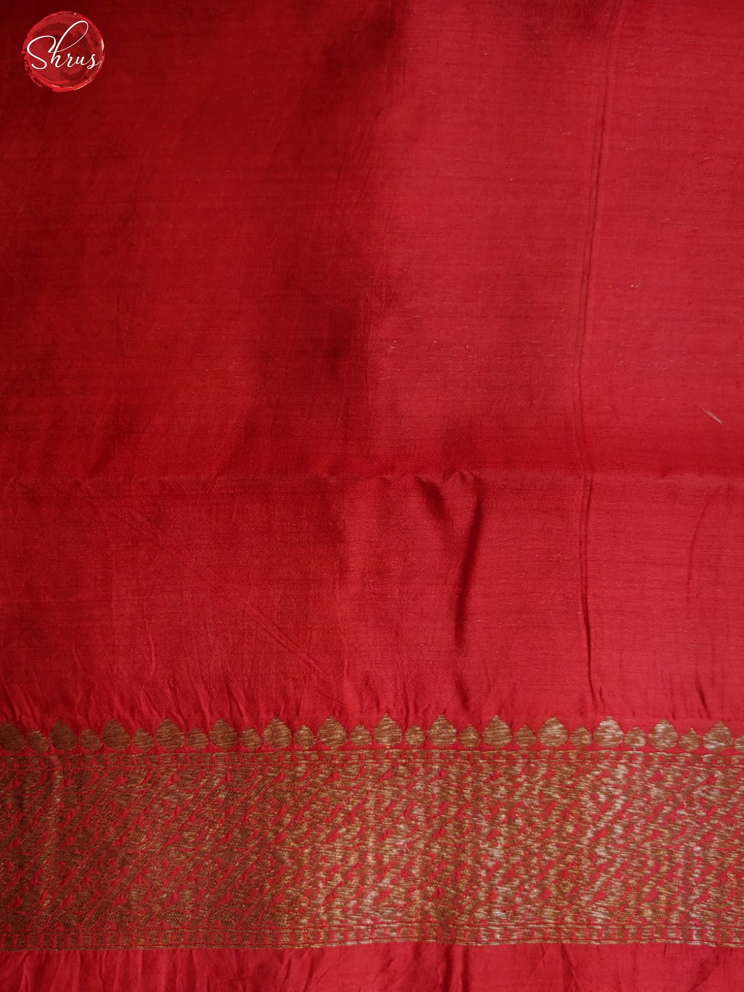 Green & Red - Banarasi Silk with Zari woven elephant buttas on the body & contrast Zari Border - Shop on ShrusEternity.com