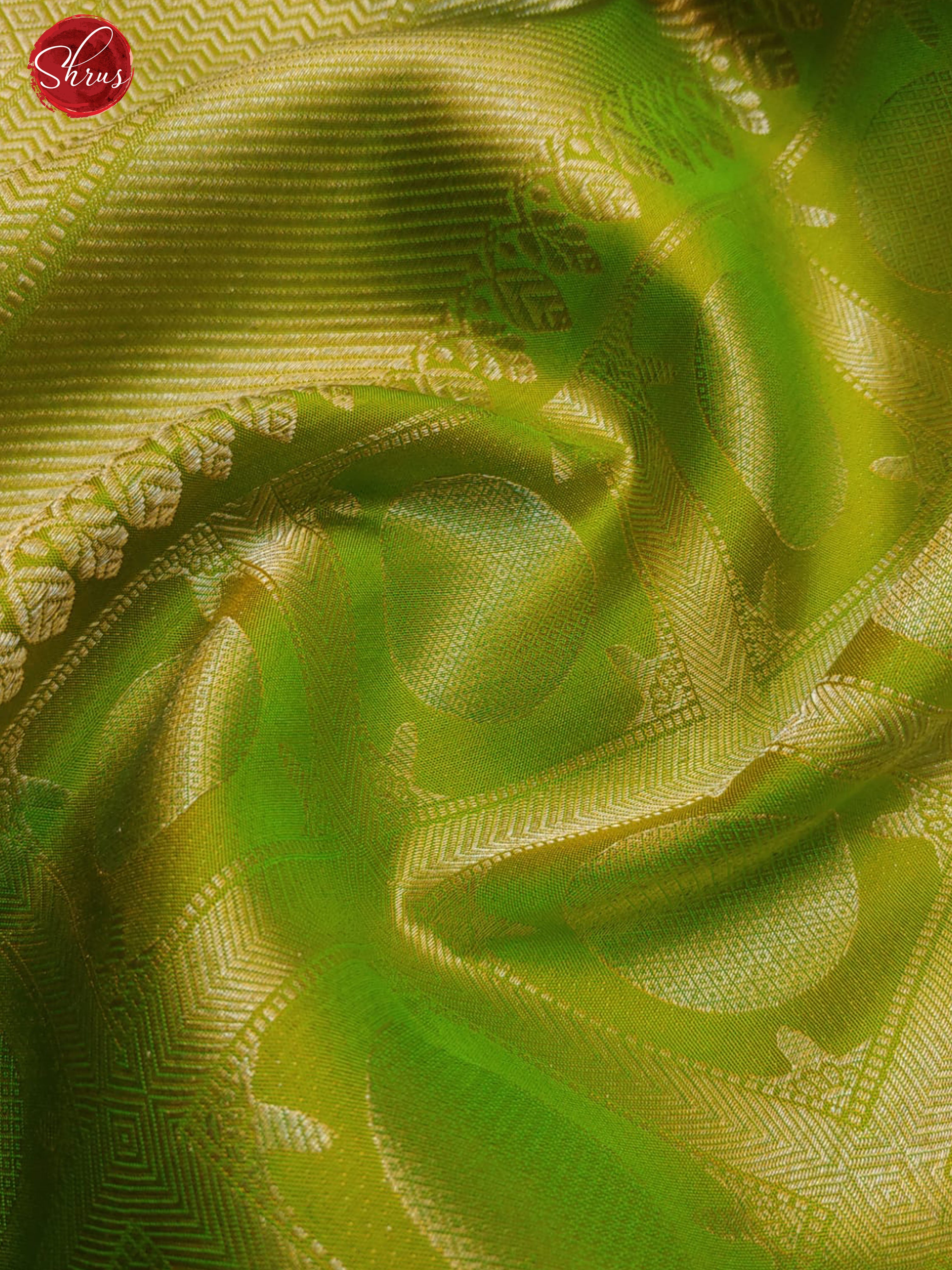 Green(Single Tone)- Soft Silk with zari checks , round motifs on the body & Zari Border-5