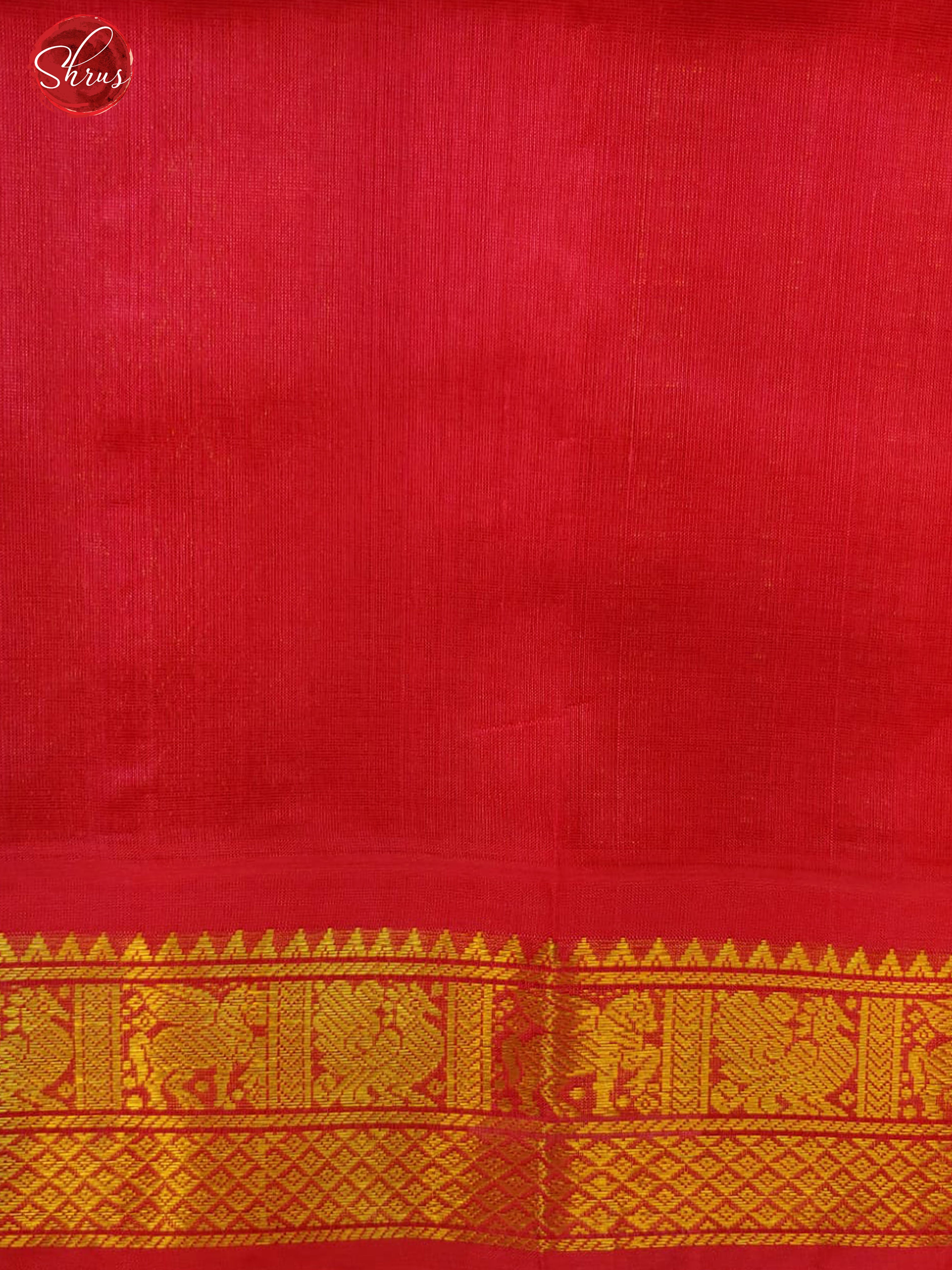 Blue & Pink - Silk Cotton with plain Body & Zari Border - Shop on ShrusEternity.com