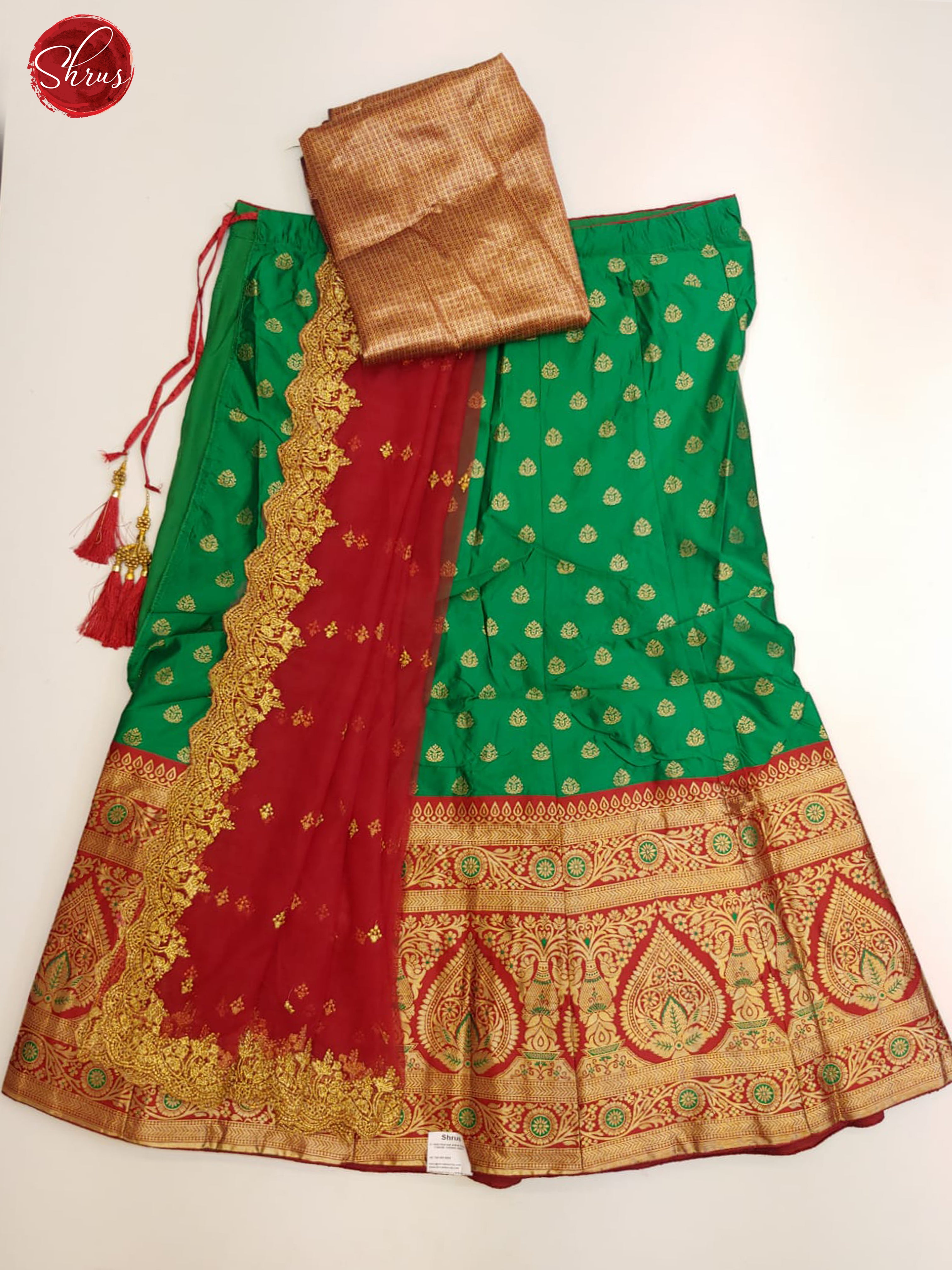 Green Red - Chiffon Sei Stitched Lehenga with zari buttas on the skirt & Contrast Dupatta - Shop on ShrusEternity.com