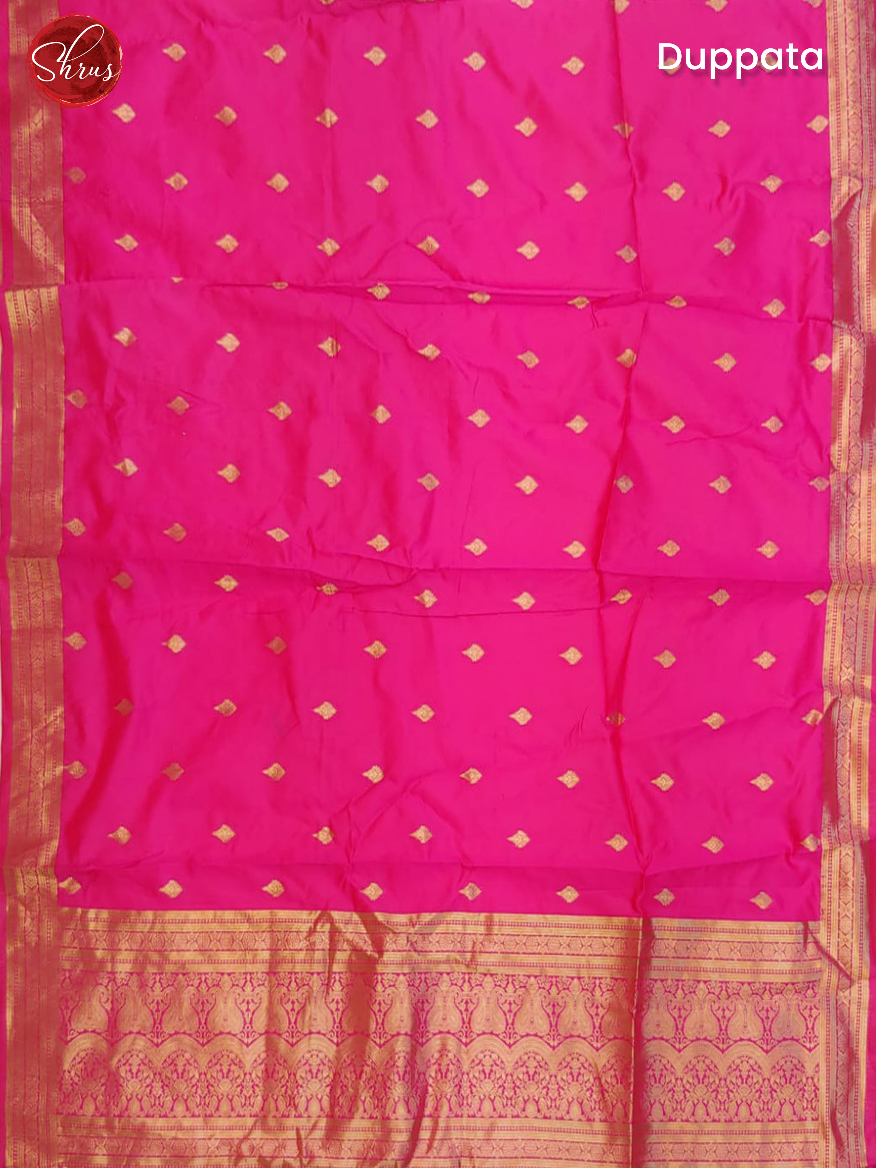 Green & Pink - Chiffon Semi Stitched Lehenga with zari brocade on the skirt & Contrast Dupatta - Shop on ShrusEternity.com