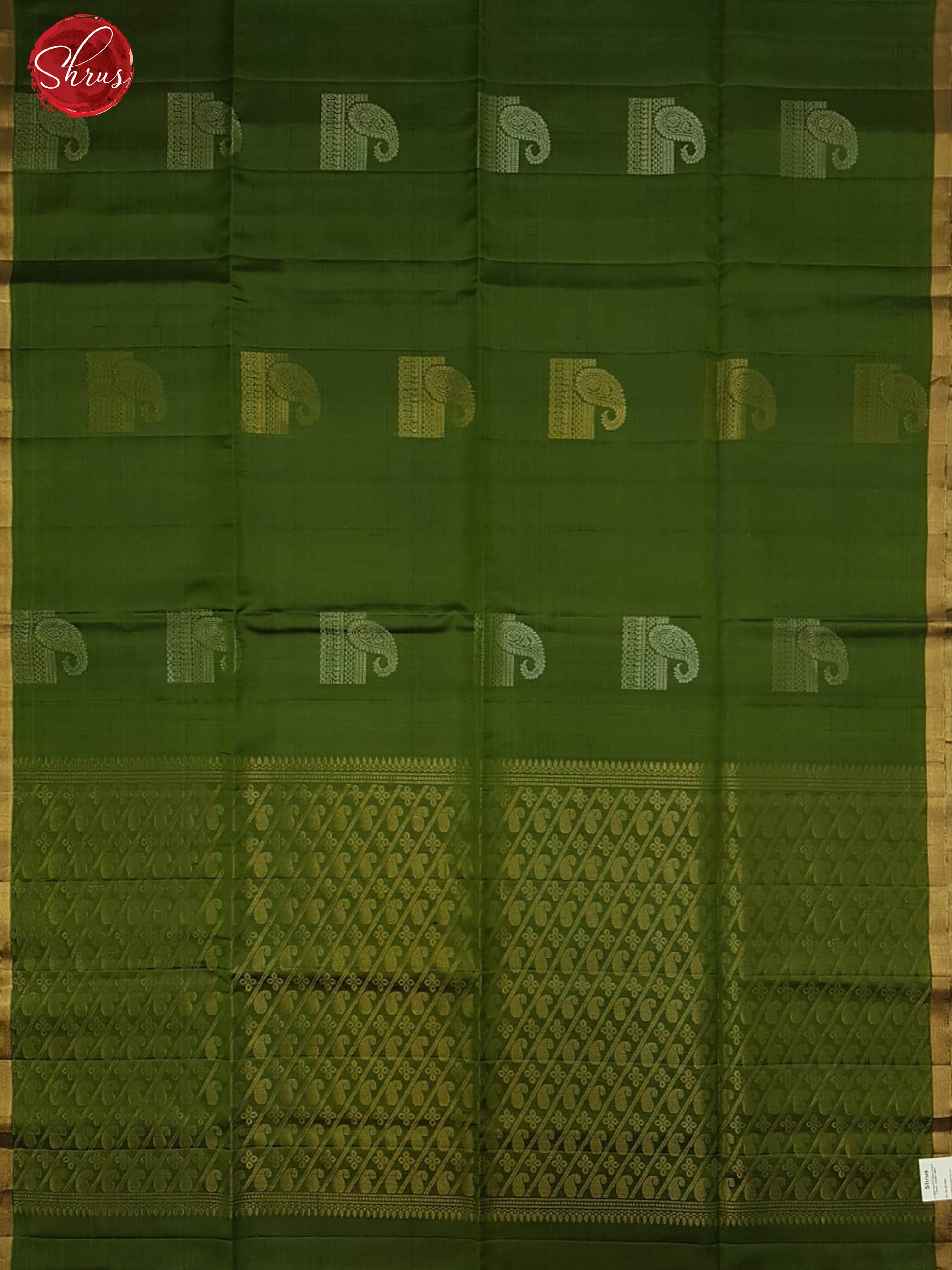 Green (Single Tone)- Borderless Soft Silk with Zari woven paisleys motifs on the Body - Shop on ShrusEternity.com