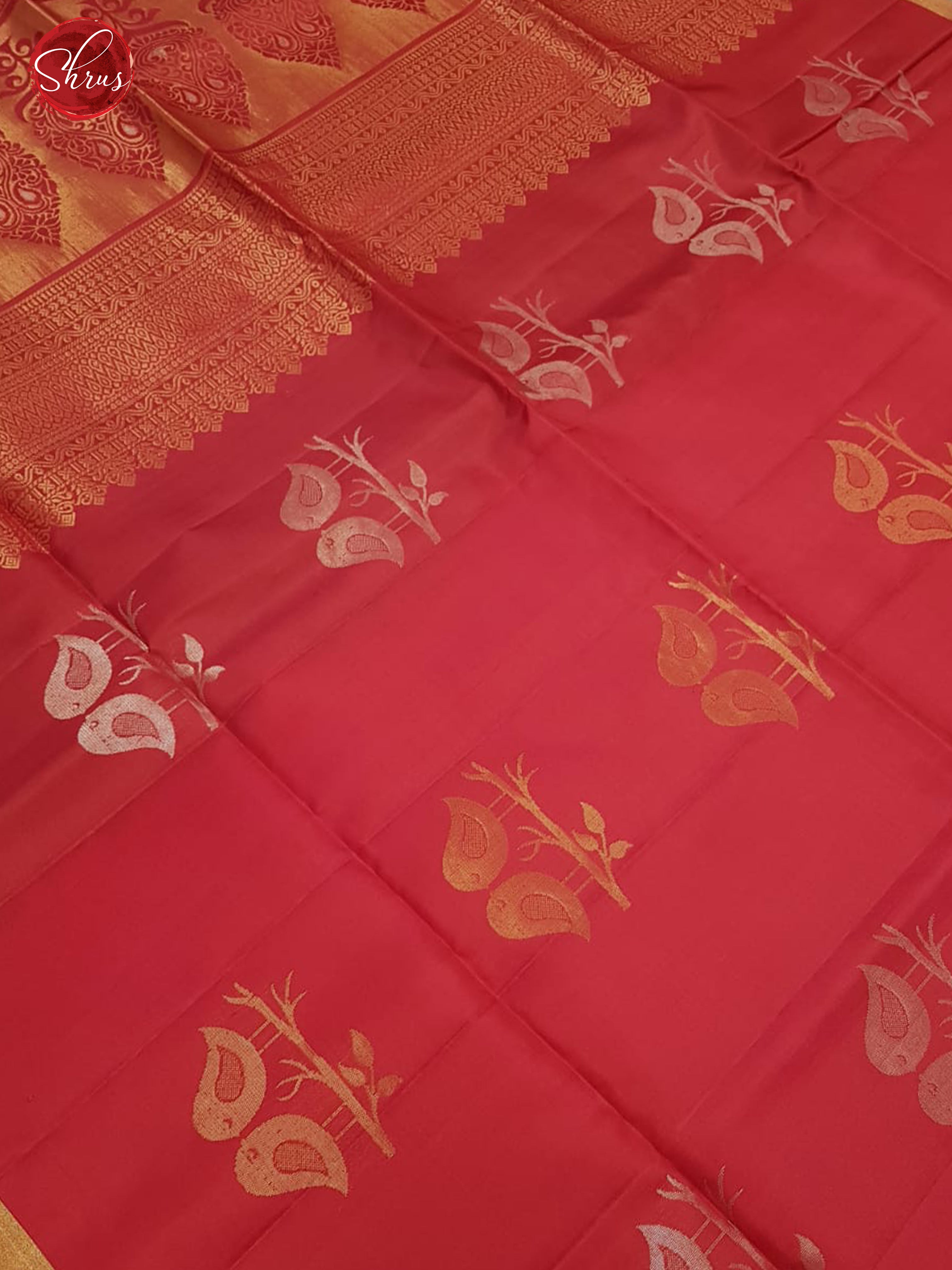 Pink & Blue -Borderless Soft SIlk with zari woven birds motif on the body - Shop on ShrusEternity.com