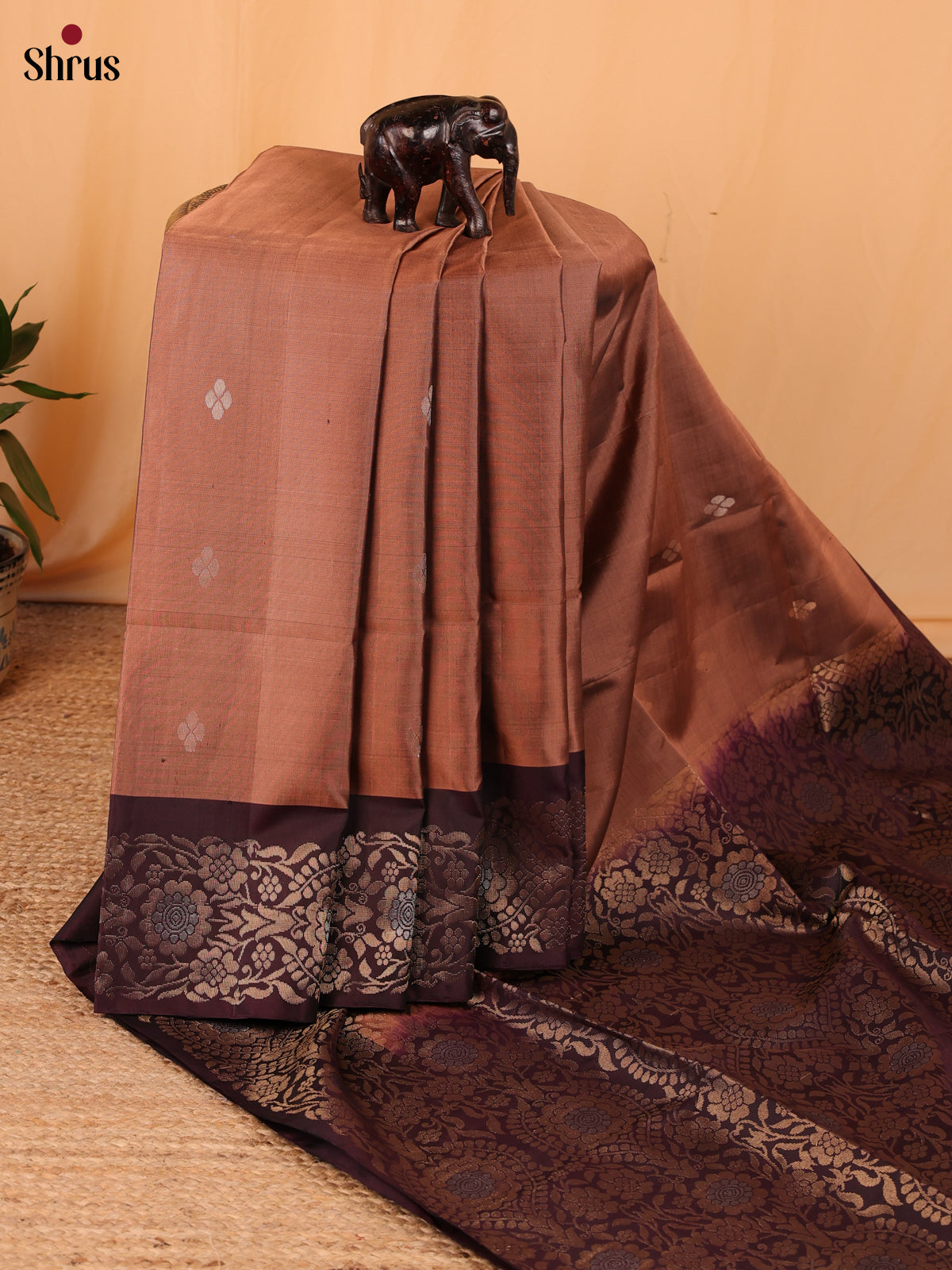 Brown & Coffee Brown - Soft Silk Saree