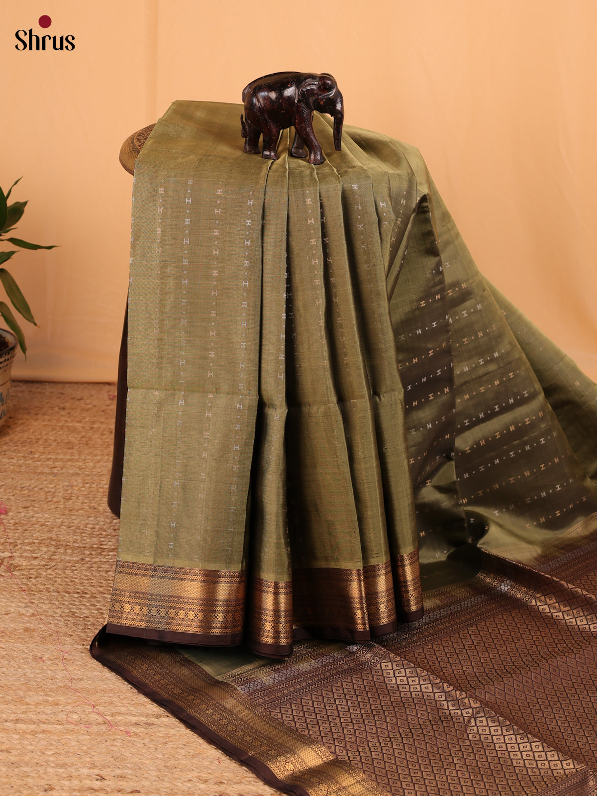 Green & Brown - Soft Silk Saree