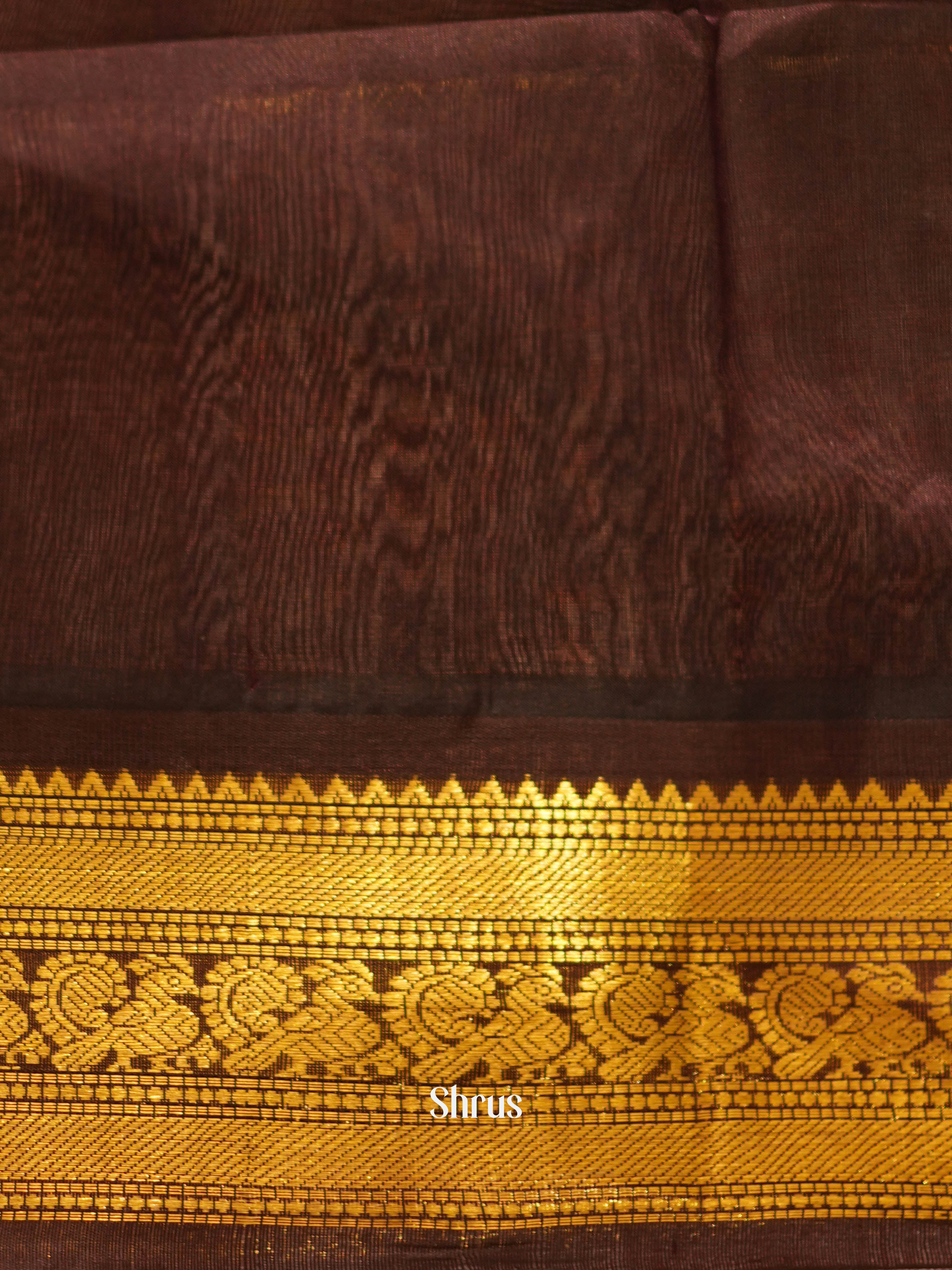 Beige & Brown - Silk Cotton Saree