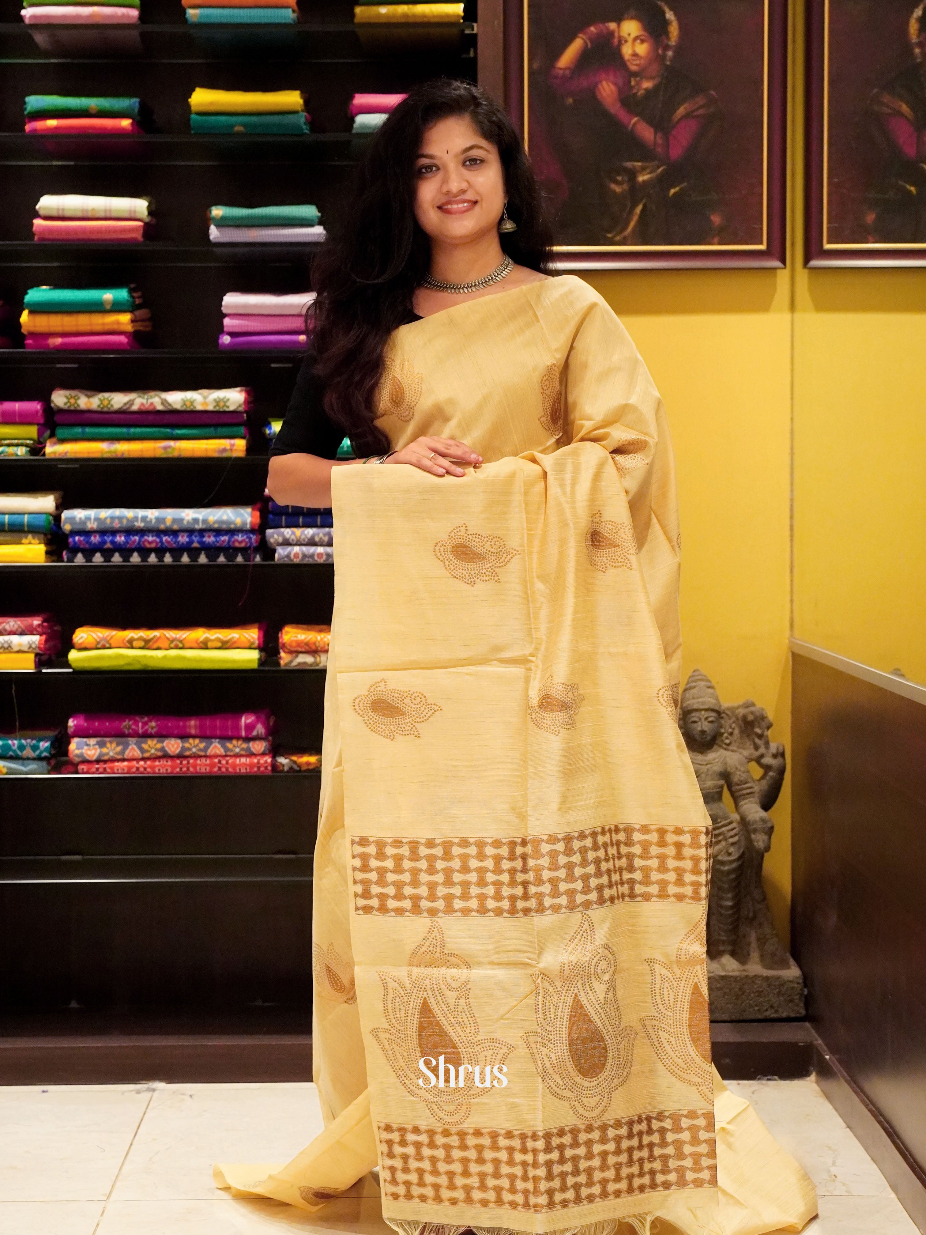 Beige(Siingle Tone) - Semi Rawsilk Saree