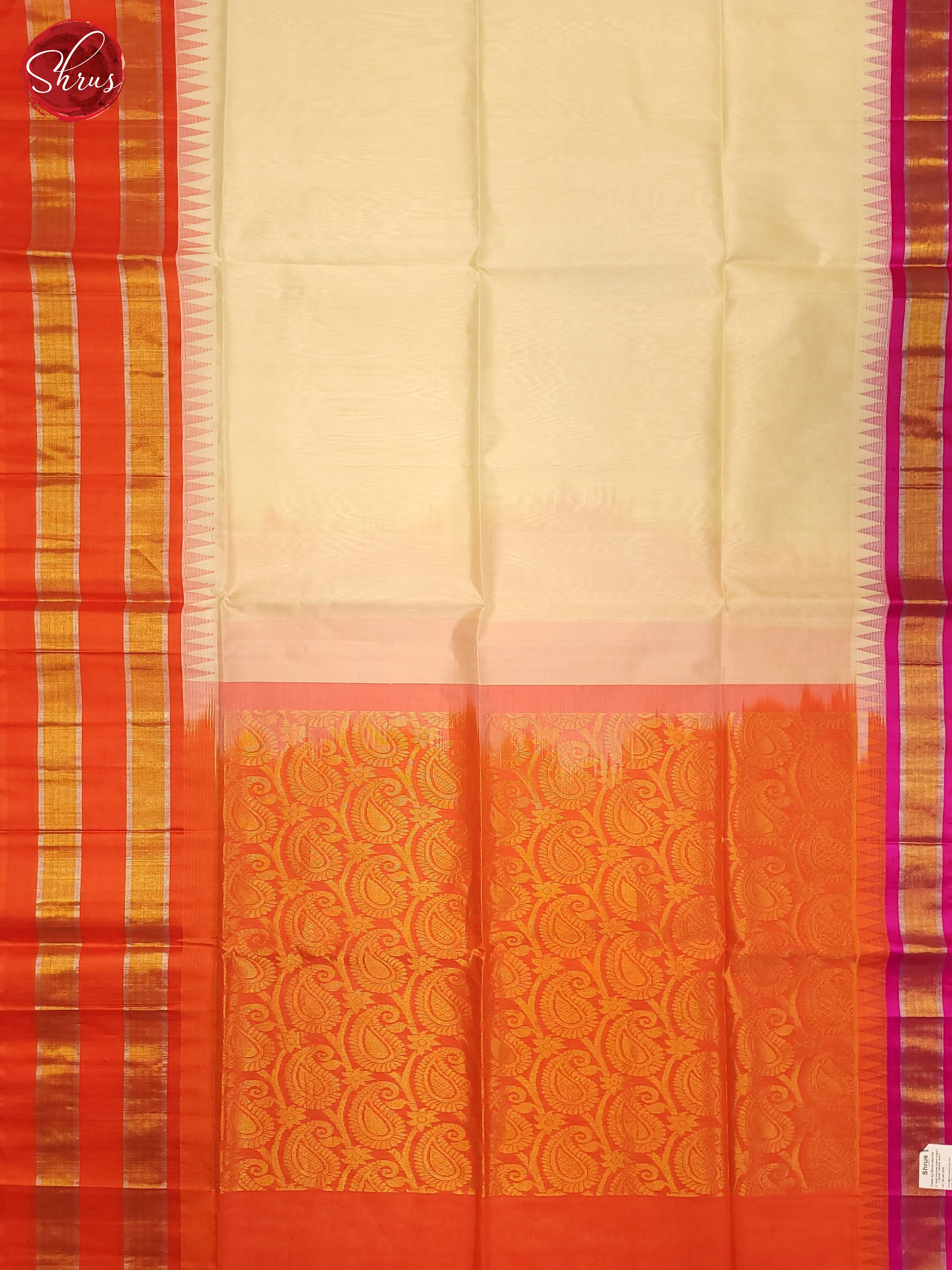 BDS20491 - Silk Cotton Saree - Shop on ShrusEternity.com