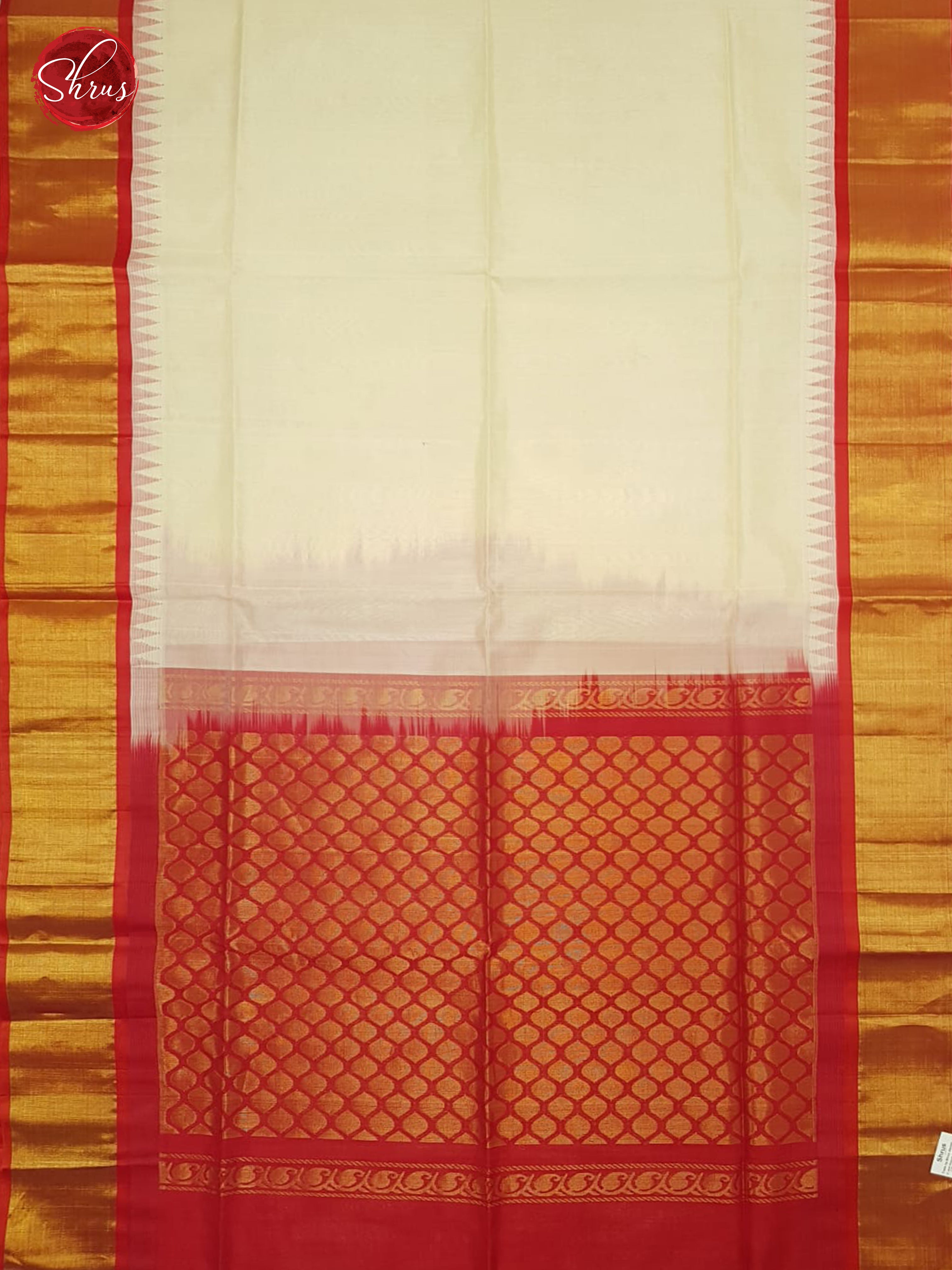 BDS20517 - Silk Cotton Saree - Shop on ShrusEternity.com