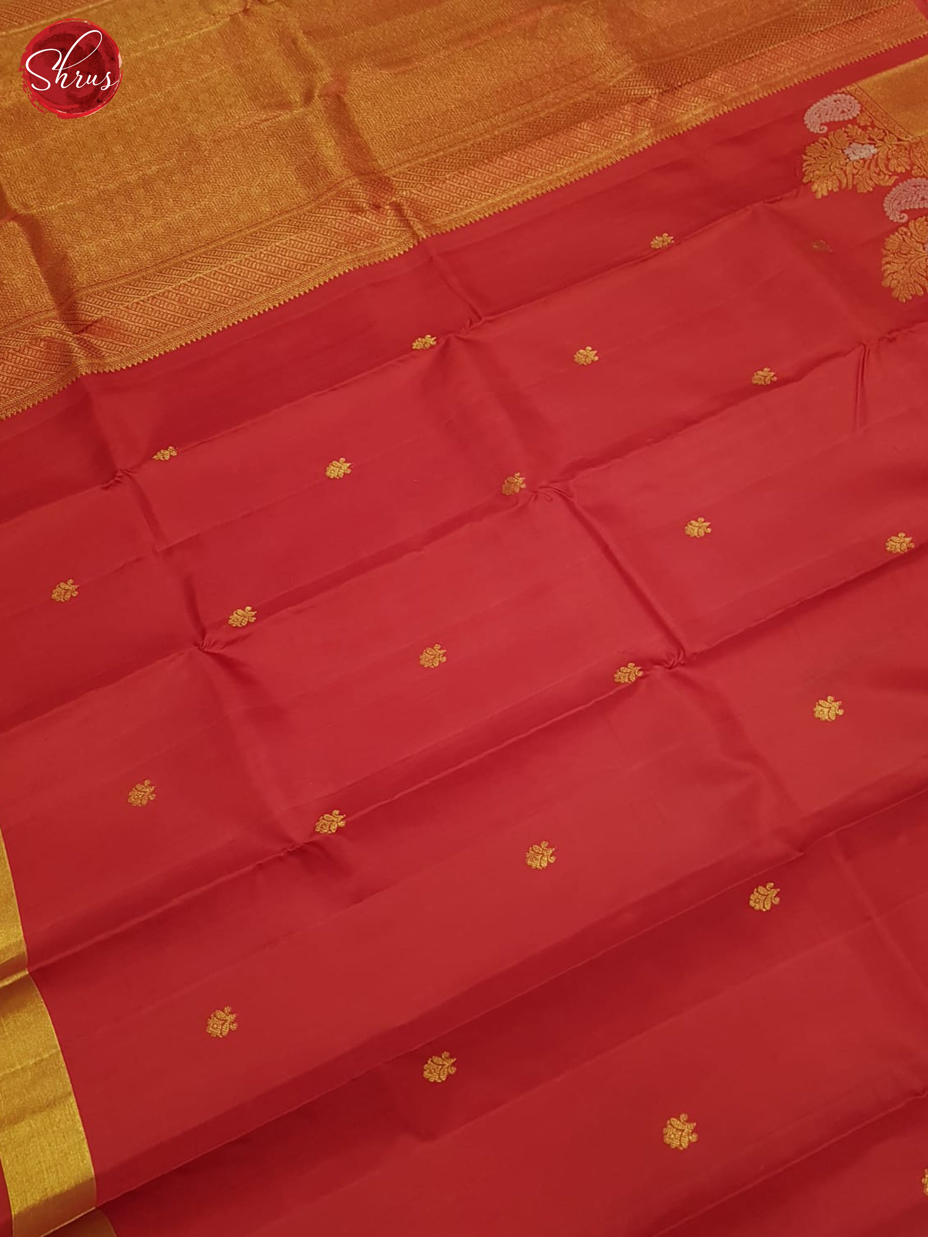 Red (Single Tone) - Kanchipuram Silk Saree - Shop on ShrusEternity.com