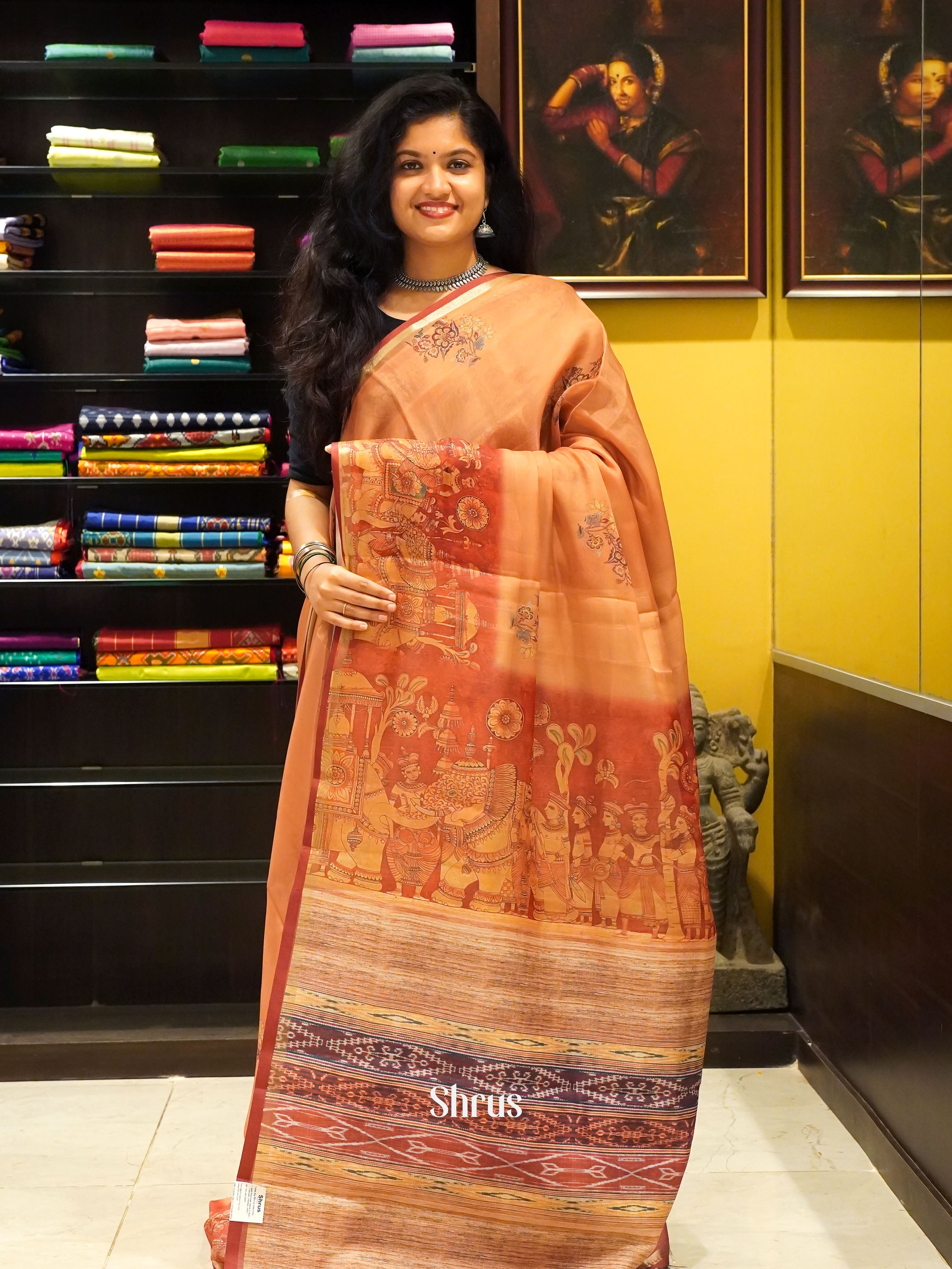 Light Brown   & Brown - Semi Organza Saree