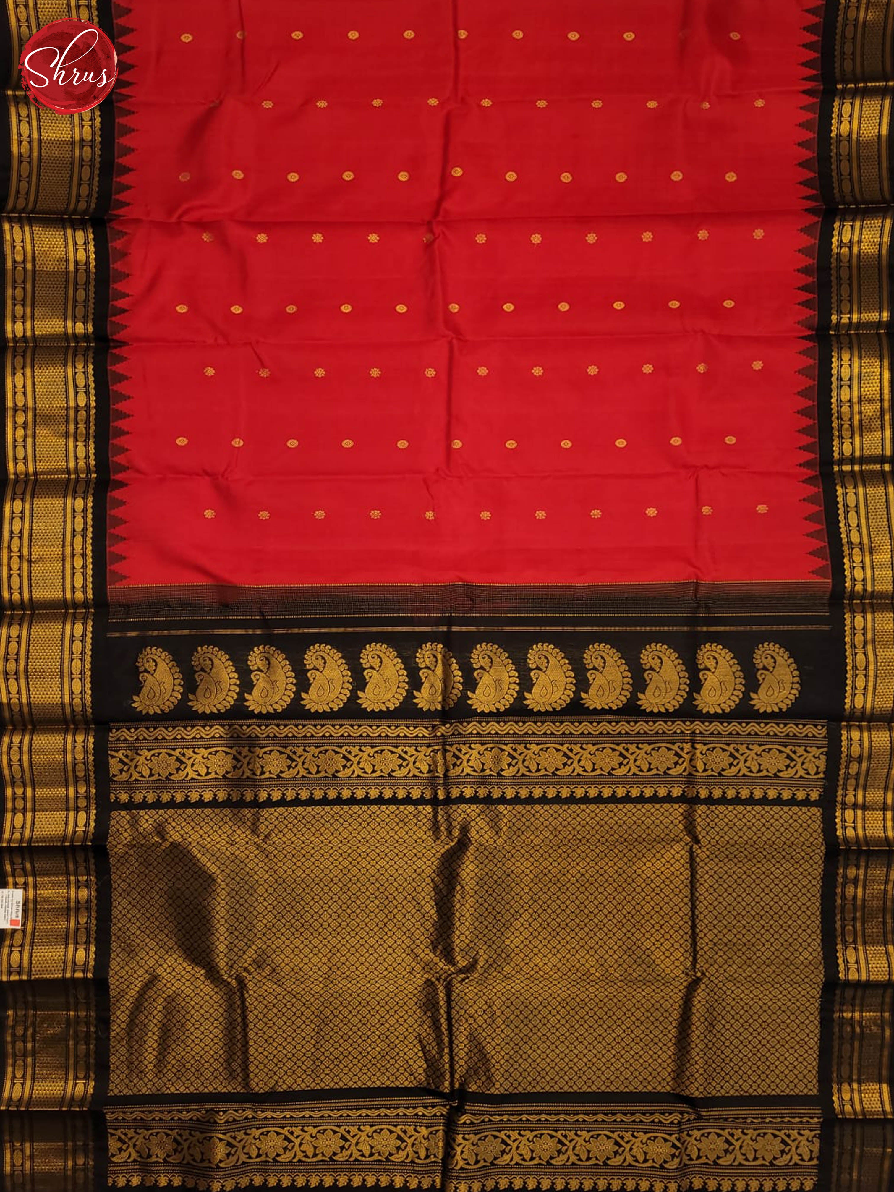 Red and black-Gadwal Silk - Shop on ShrusEternity.com