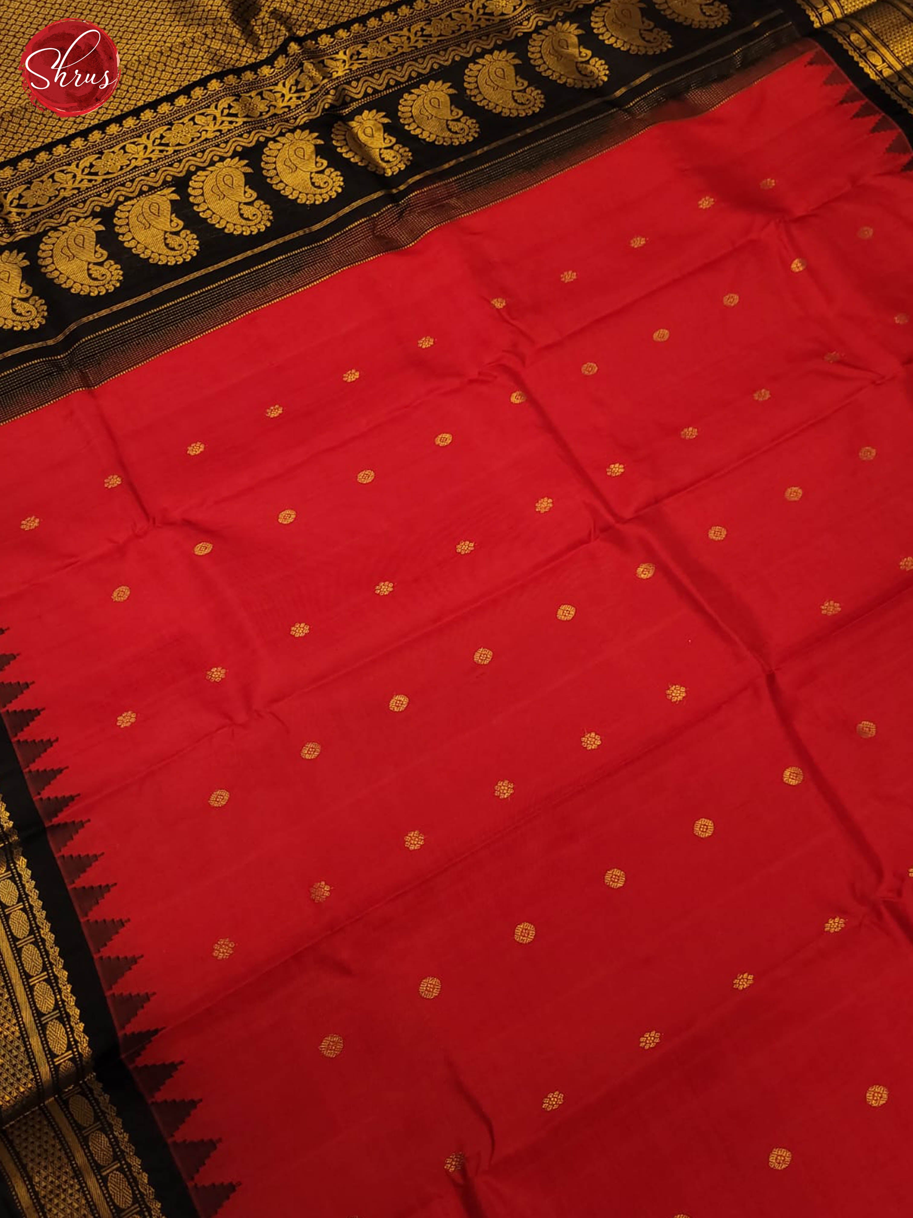 Red and black-Gadwal Silk - Shop on ShrusEternity.com