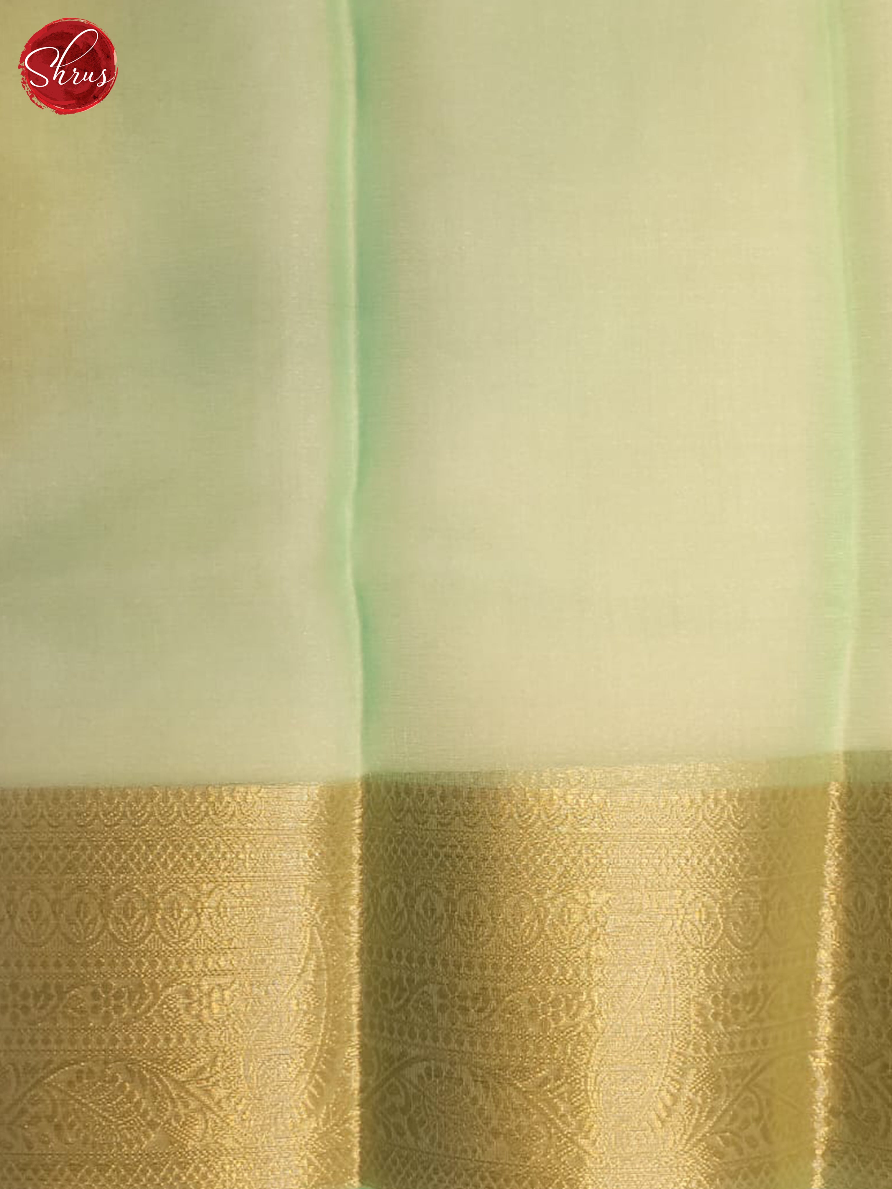 Teal Green & Pale Green - Semi Organza Saree - Shop on ShrusEternity.com