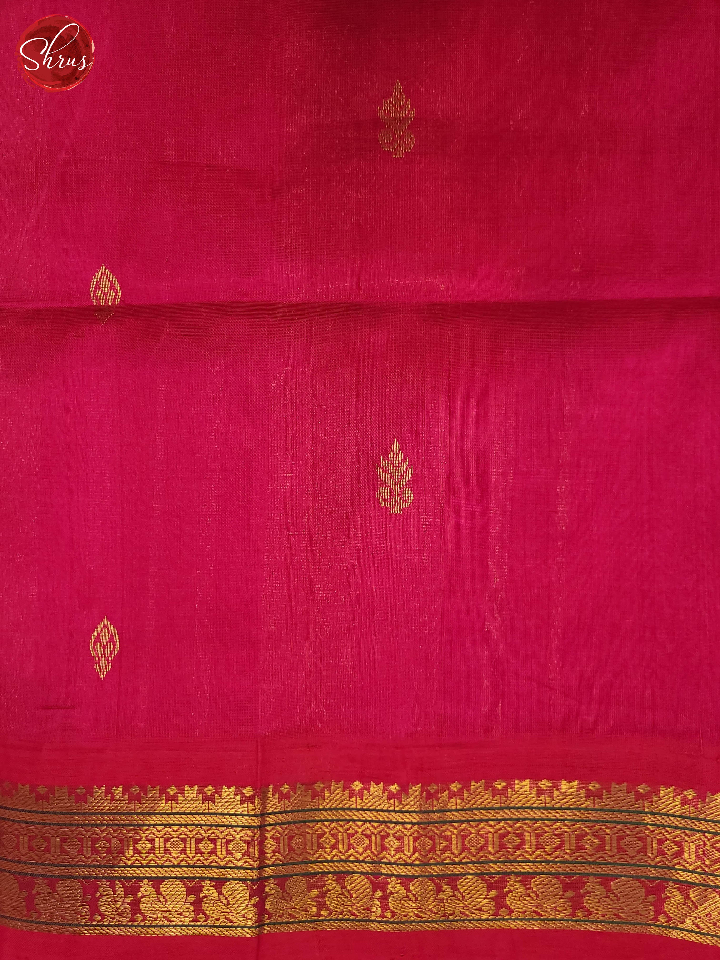 Blue and pink- Silk Cotton Saree - Shop on ShrusEternity.com