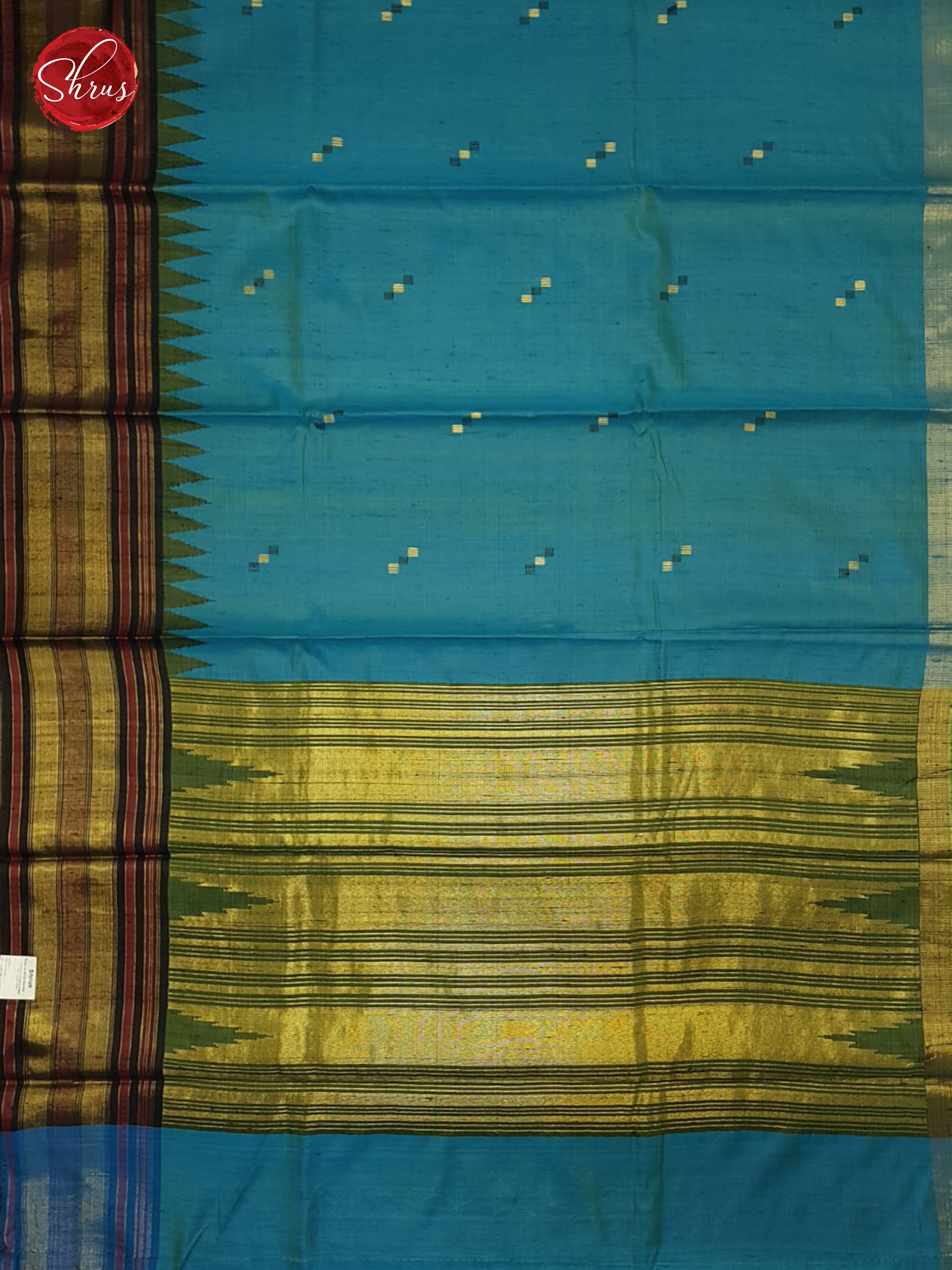 Blue and Green - Raw Silk Saree - Shop on ShrusEternity.com